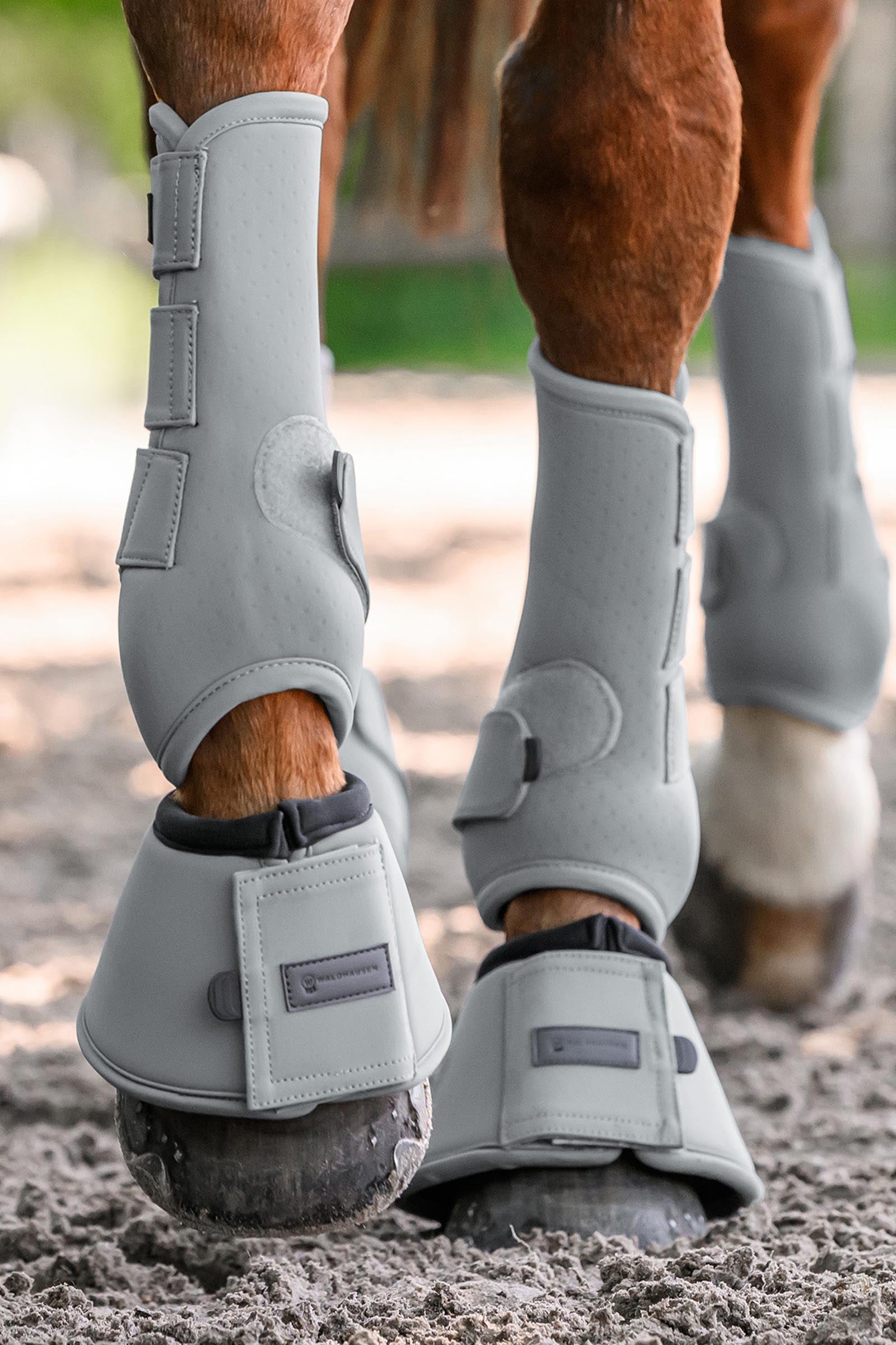 Waldhausen Performance Bell Boots Leg Protection & Hoof Protection for Horses