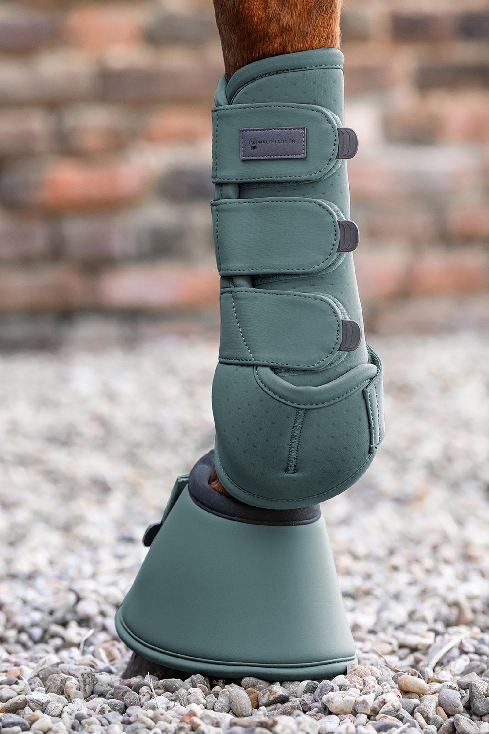 Waldhausen Performance Bell Boots Leg & Hoof Protection