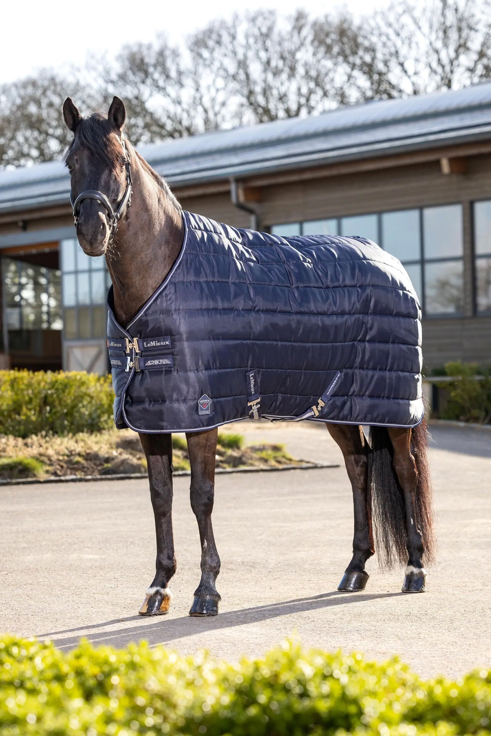 LeMieux Arika Stable-Tek Stable Rug, 200 g Hestedækken