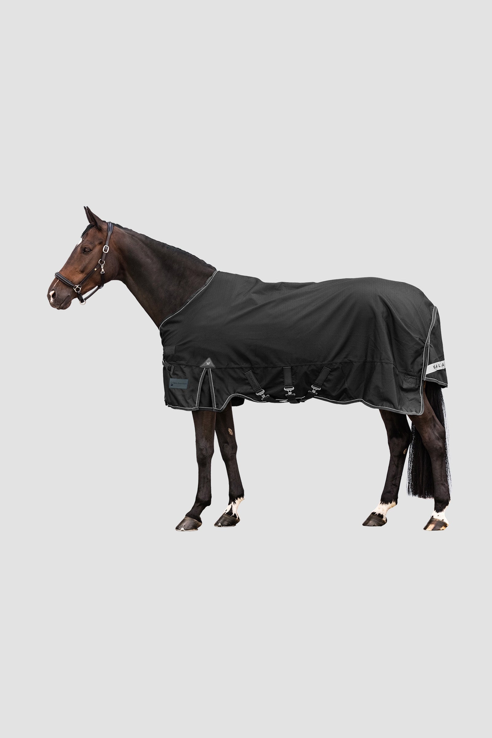 Waldhausen Outdoor Rug Scandic Light Hestedækken