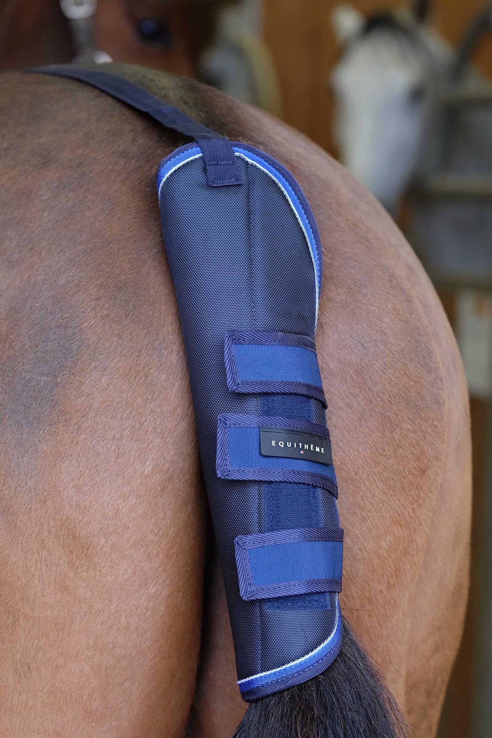 EQUITHÈME TYREX 1680D halebeskytter Leg & Hoof Protection