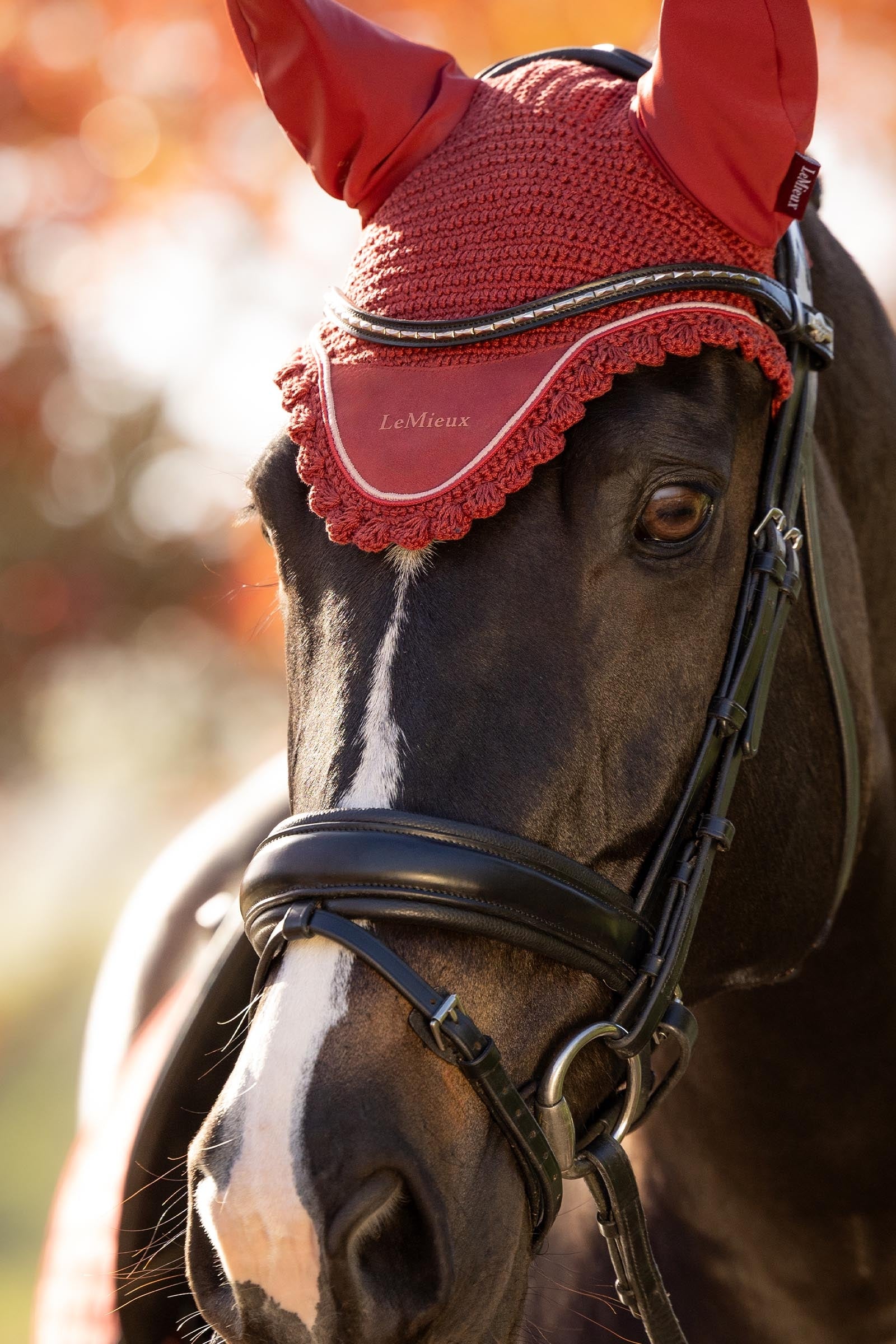 LeMieux Classic Fly Hood Saddle Pads