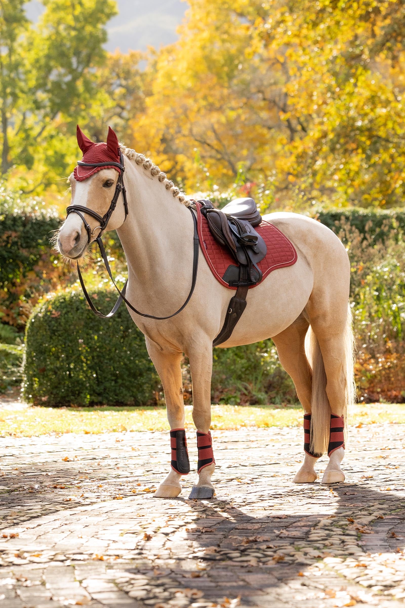 LeMieux Classic Fly Hood Saddle Pads
