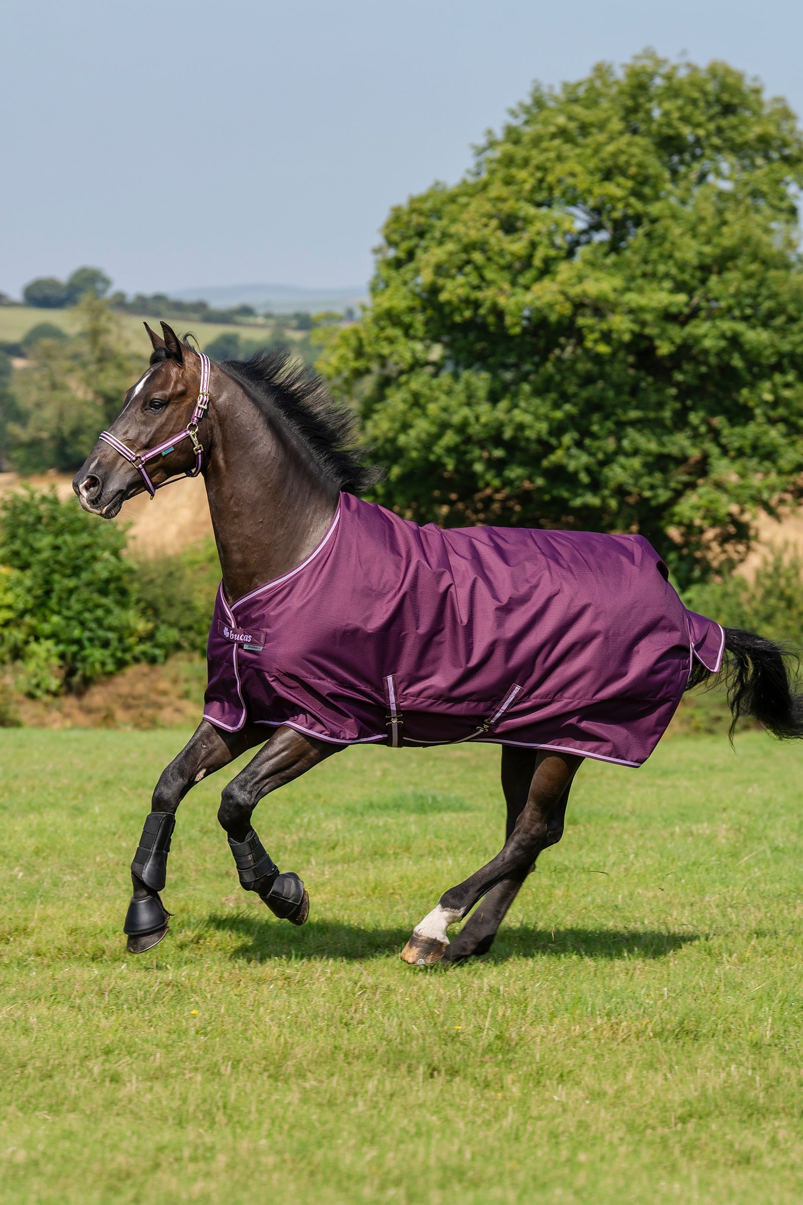 Bucas Freedom Light Turnout Rug, 0g Horse Rugs
