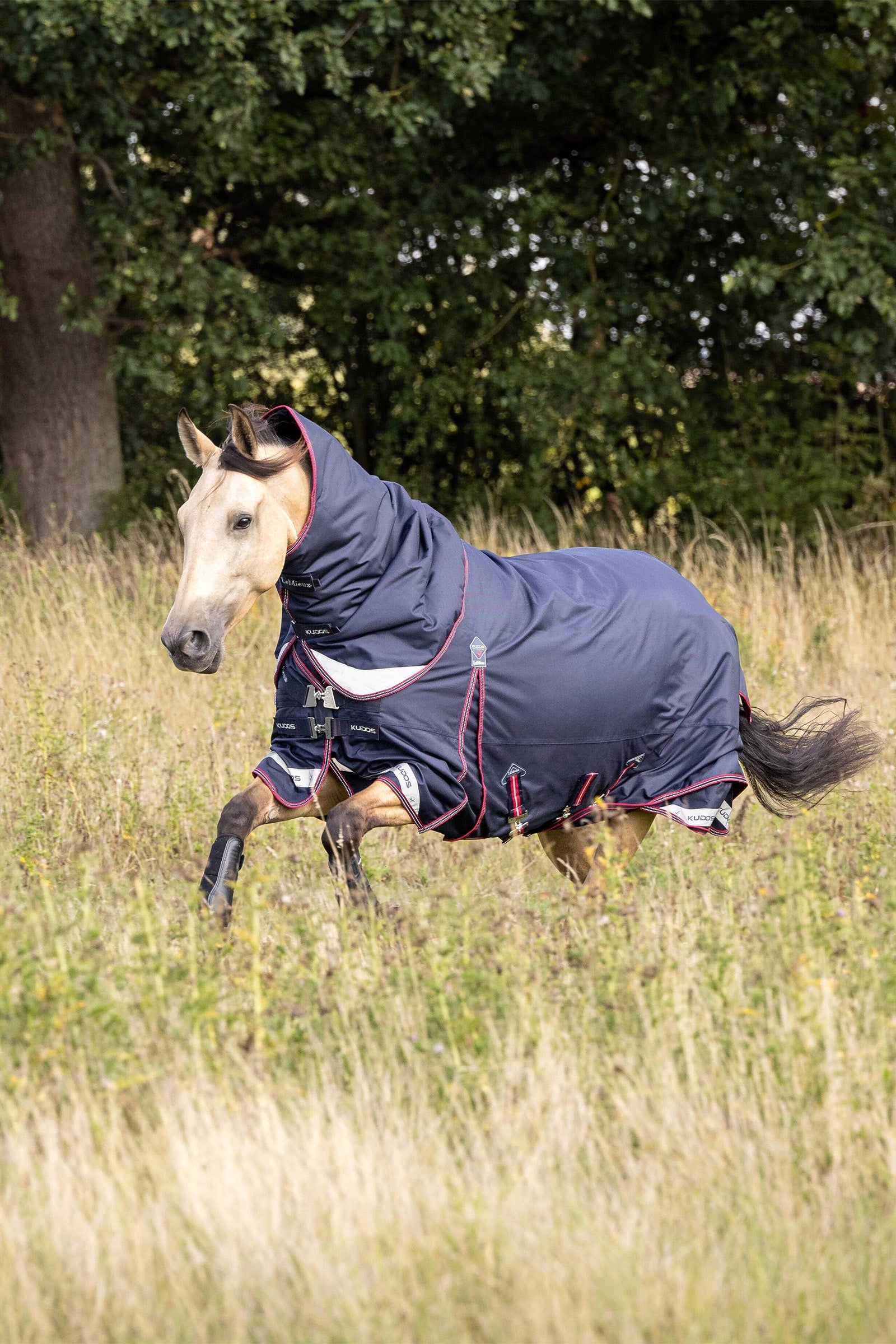 LeMieux Kudos Lightweight Turnout Rug, 50 g Hestedækken