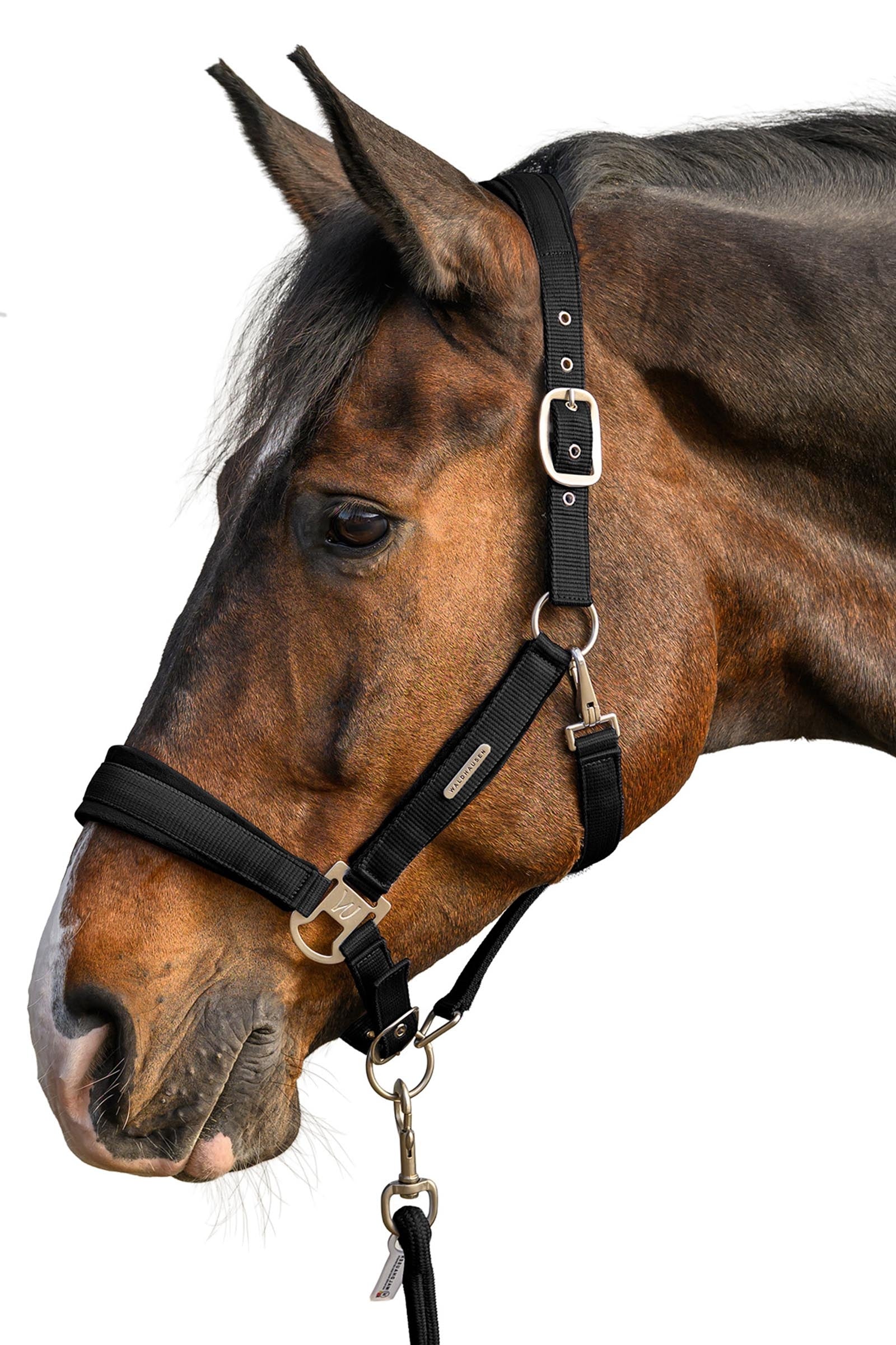 Waldhausen Velvet Halter and Lead Rope Set Halters & Leads