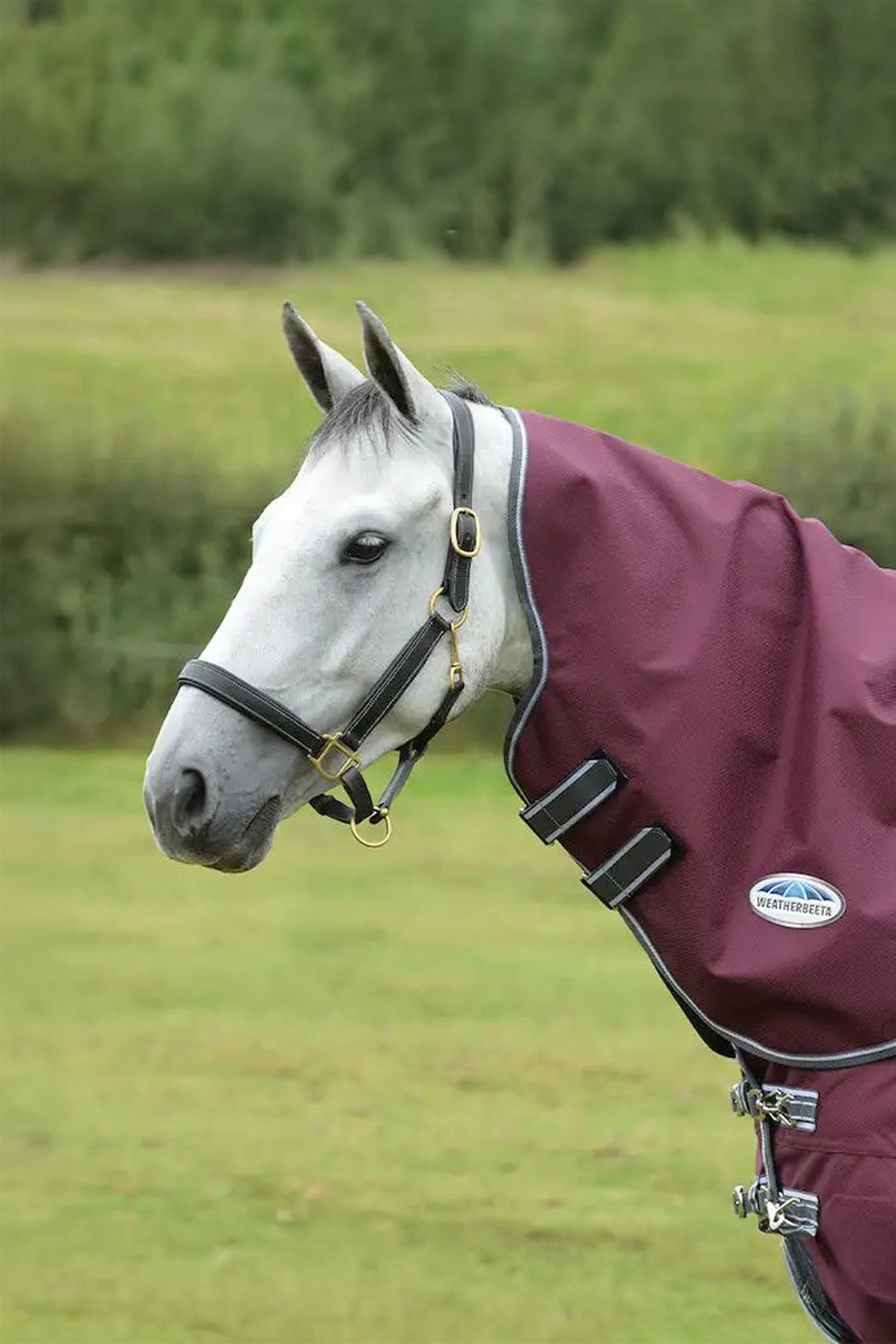 Weatherbeeta Comfitec Plus Dynamic II Medium/Lite halsstykke, 100g Hestedækken