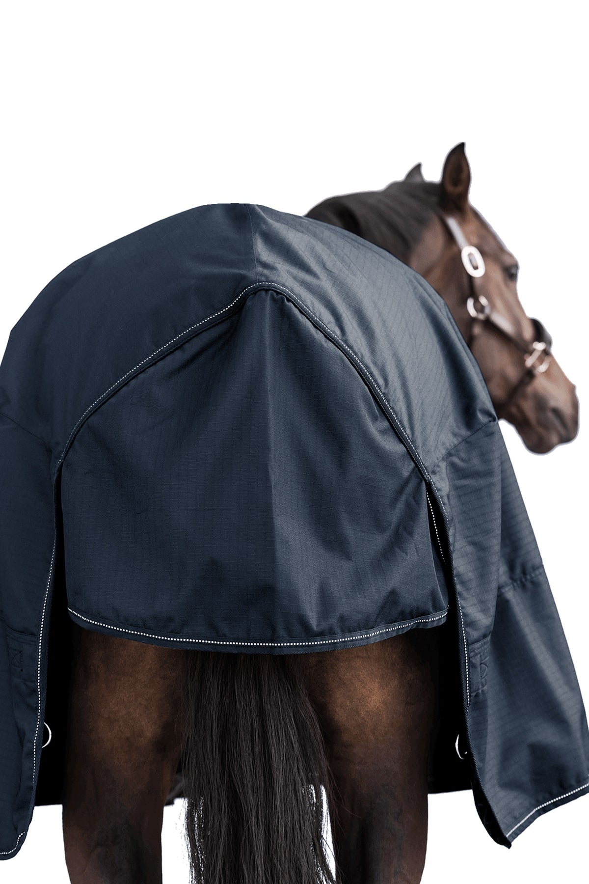 Waldhausen NORDIC High Neck Outdoor Rug, 200 g Horse Rugs
