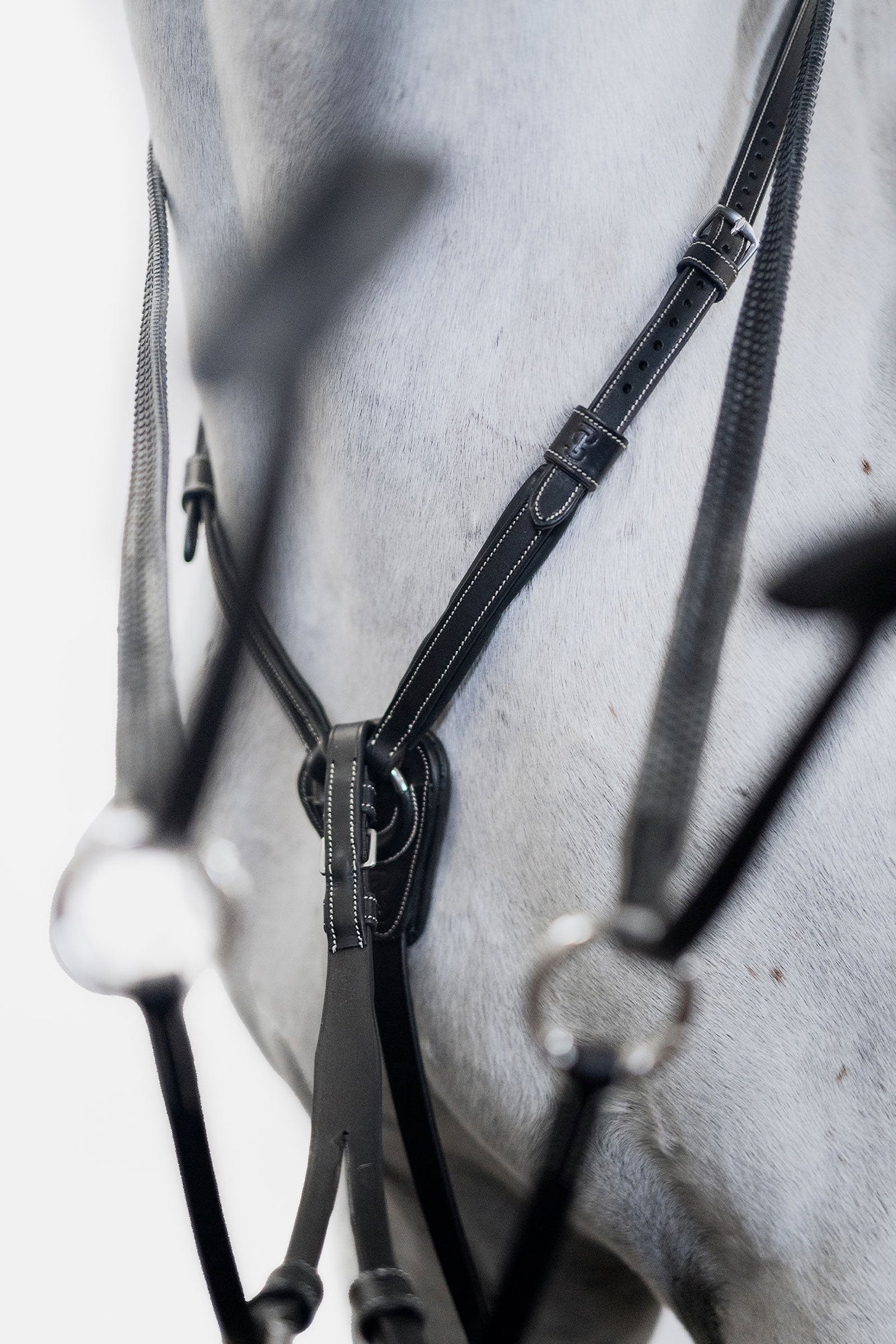 PS of Sweden Seoul Martingale Bridles & Reins