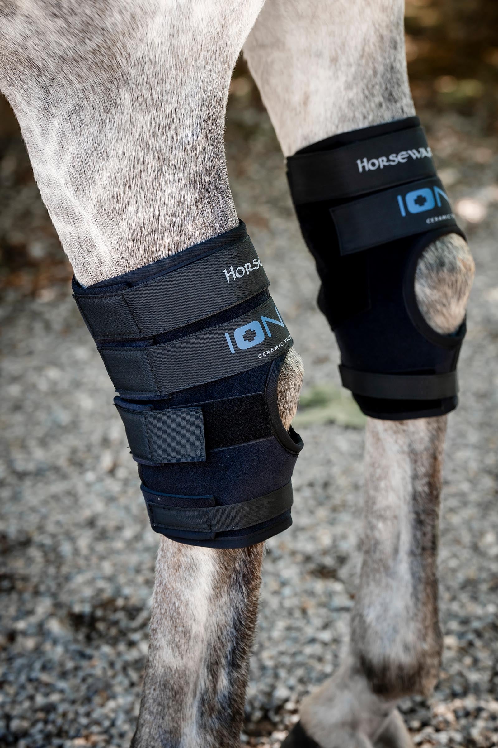 Horseware Ionic hasestøvler – sæt med 2 Leg & Hoof Protection