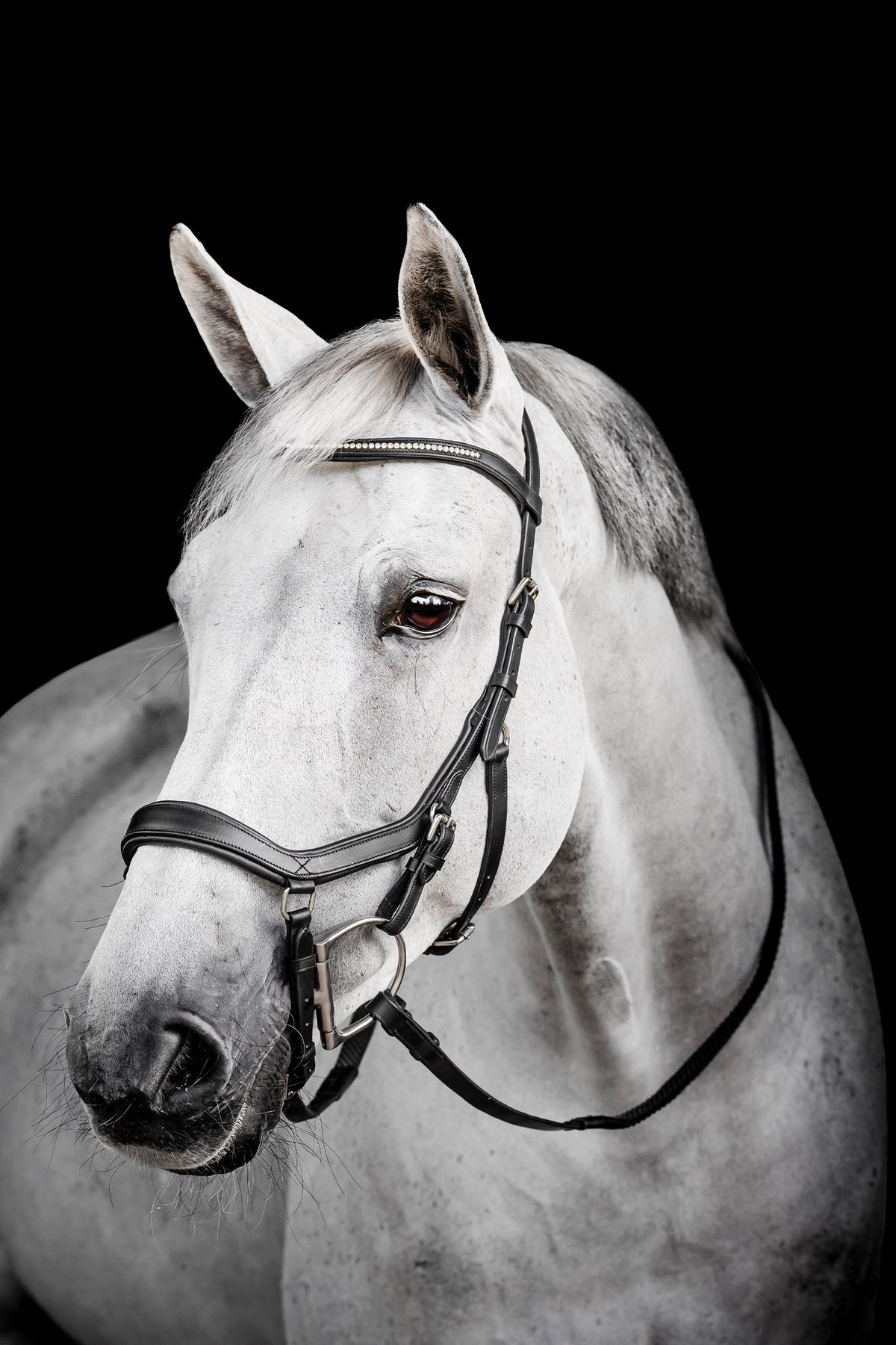 Horseware Diamante Competition Micklem Bridles & Reins