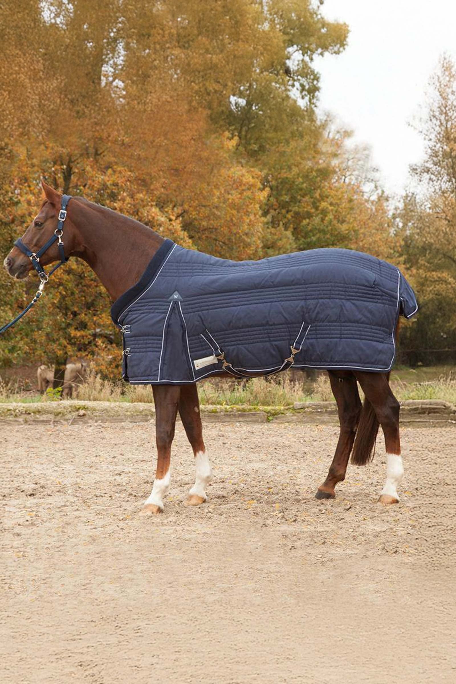 Waldhausen Stable Rug Comfort Line 100g Hestedækken
