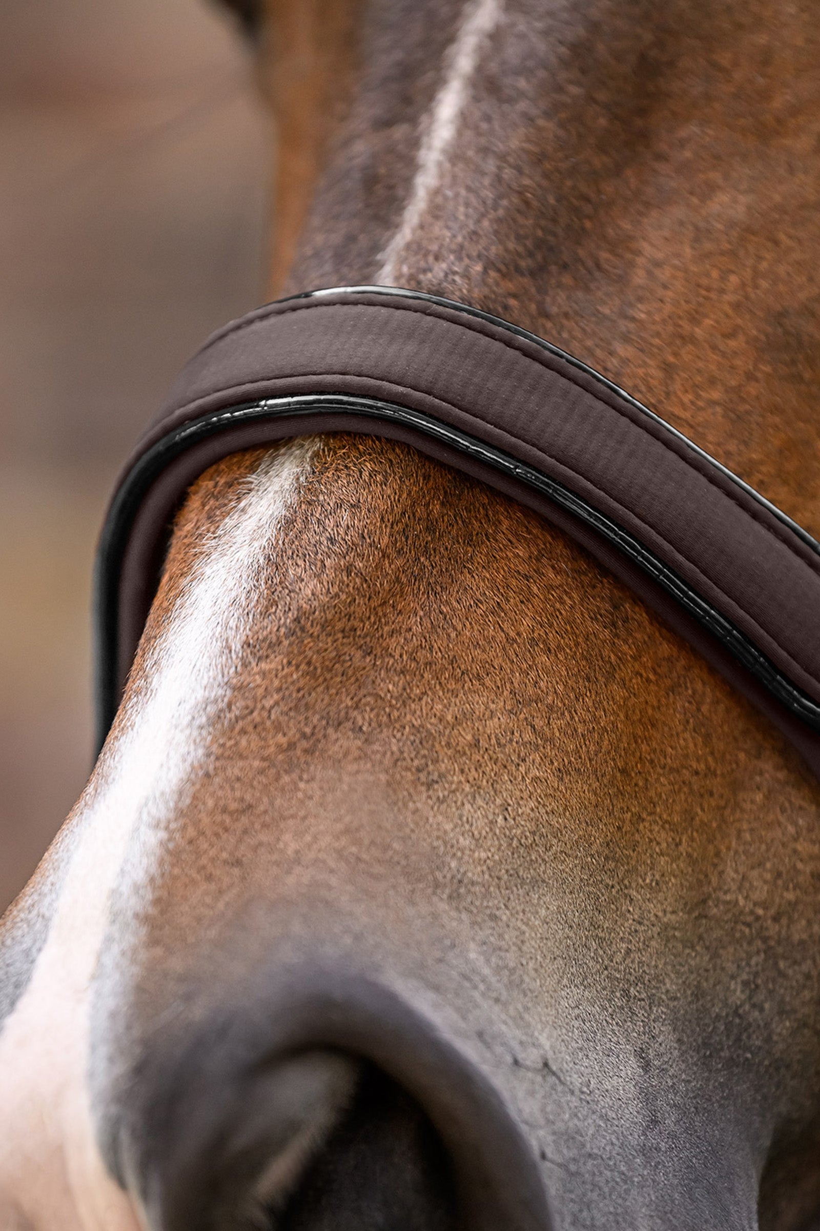 Waldhausen Ubud Halter Set Halters & Leads