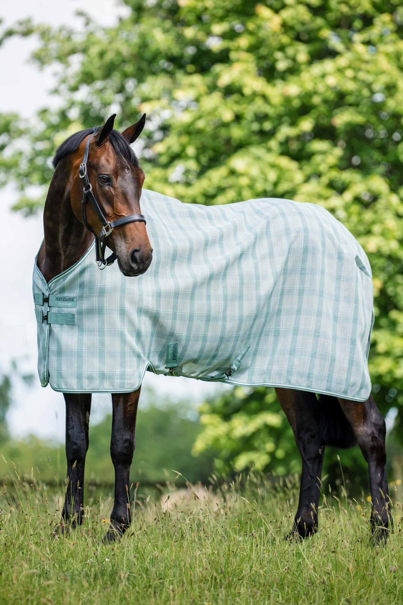Horseware Newmarket fluedækken med UV-beskyttelse Hestedækken
