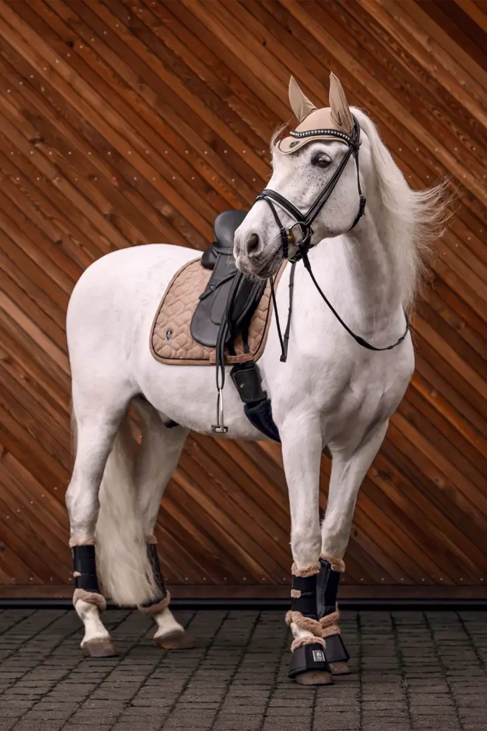 Cavallo Cavalpino  Dressage Saddle Pad Saddle Pads