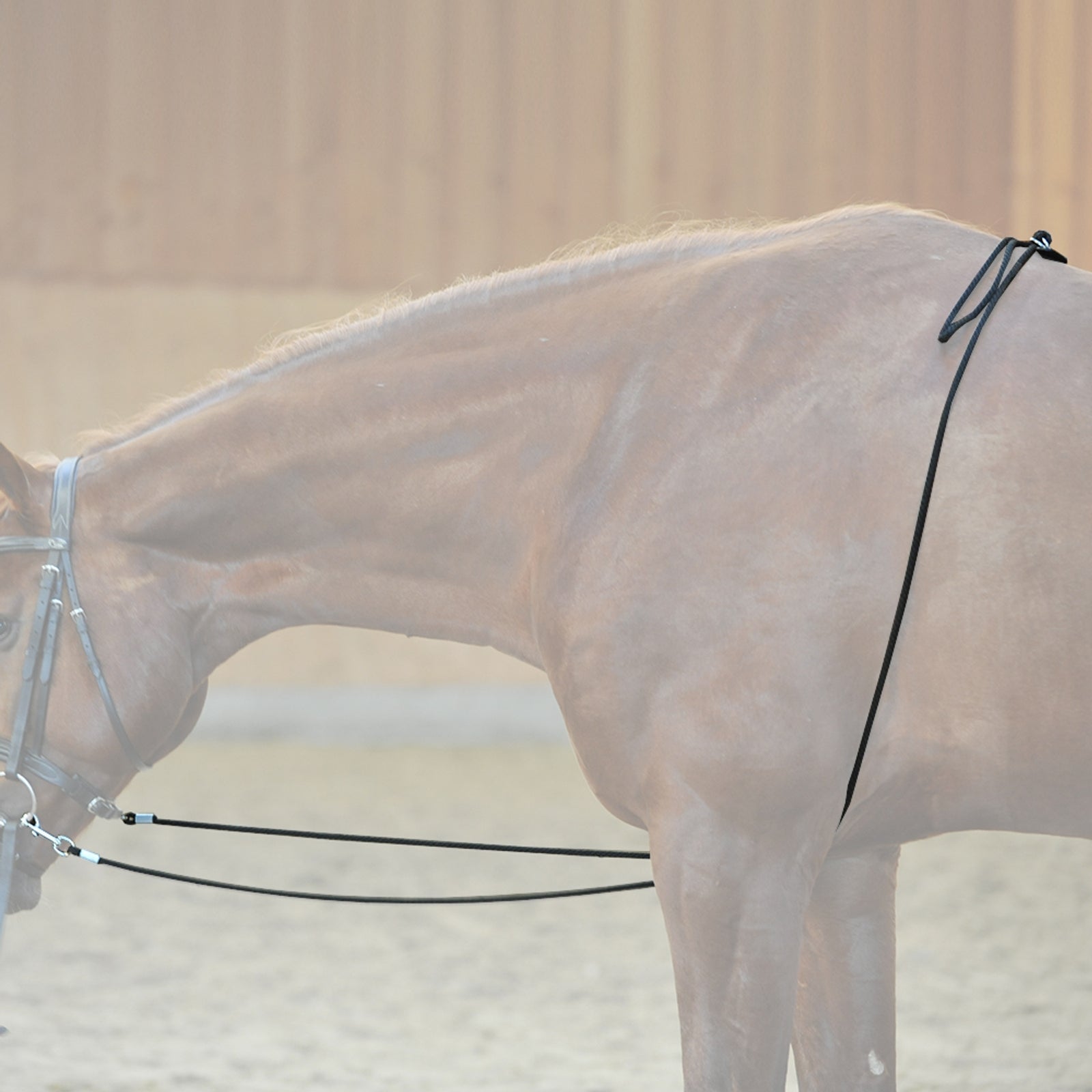 Kavalkade HO longesystem Longering & hjælpetøjler