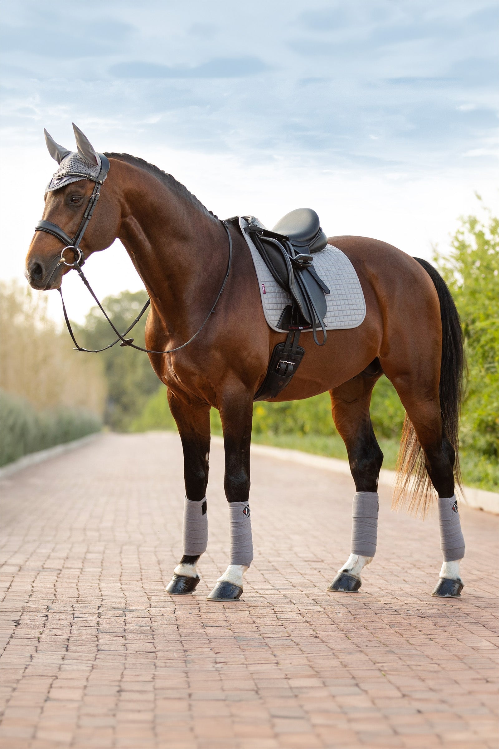 LeMieux Suede Square Dressage Saddle Pad Saddle Pads