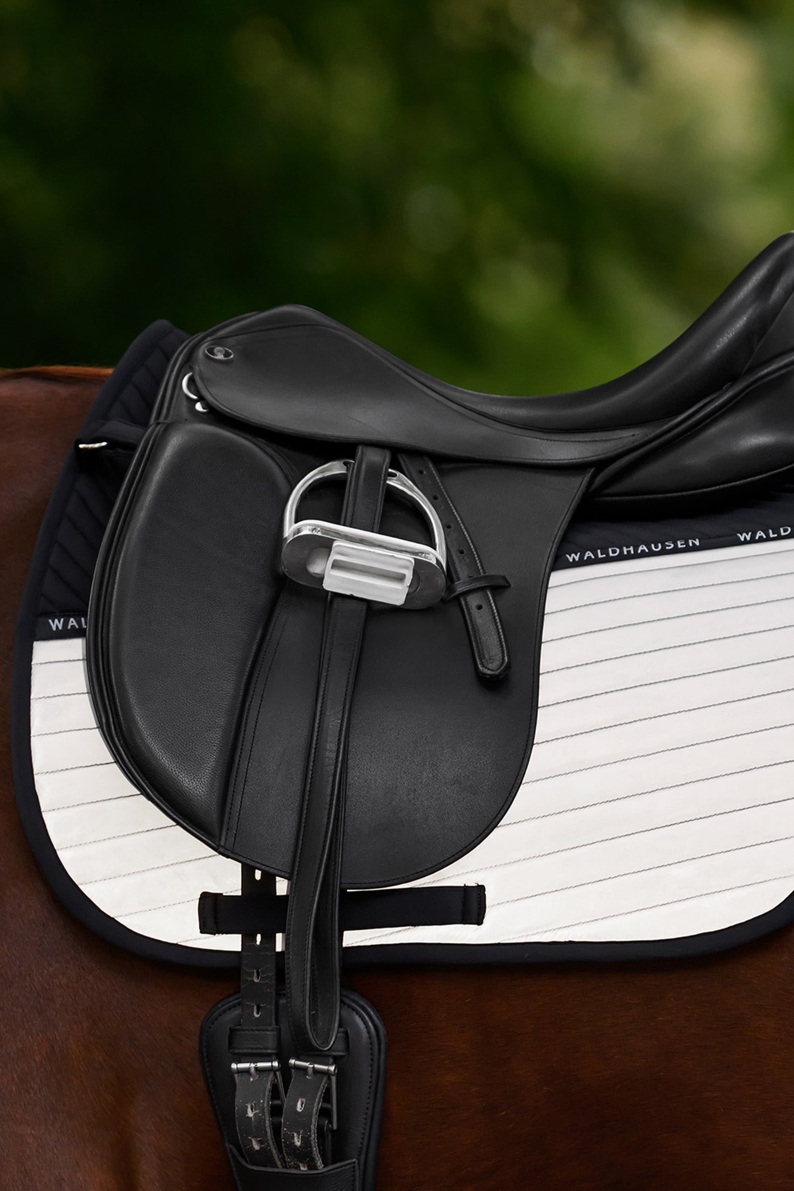 Waldhausen REFLEX Dressage Saddle Pad Reflective