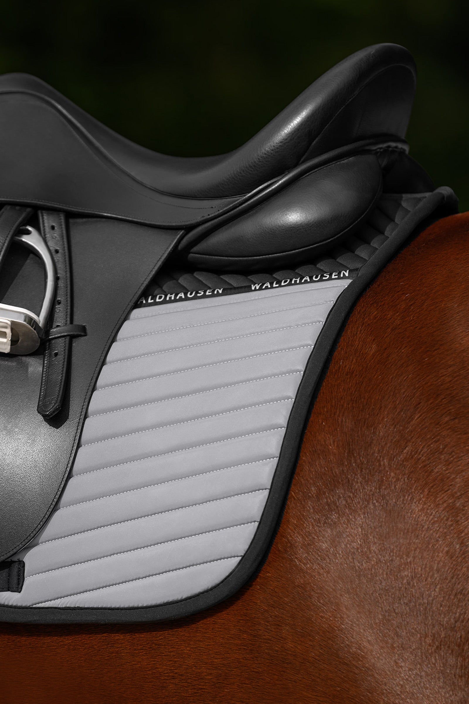 Waldhausen REFLEX Dressage Saddle Pad Reflective
