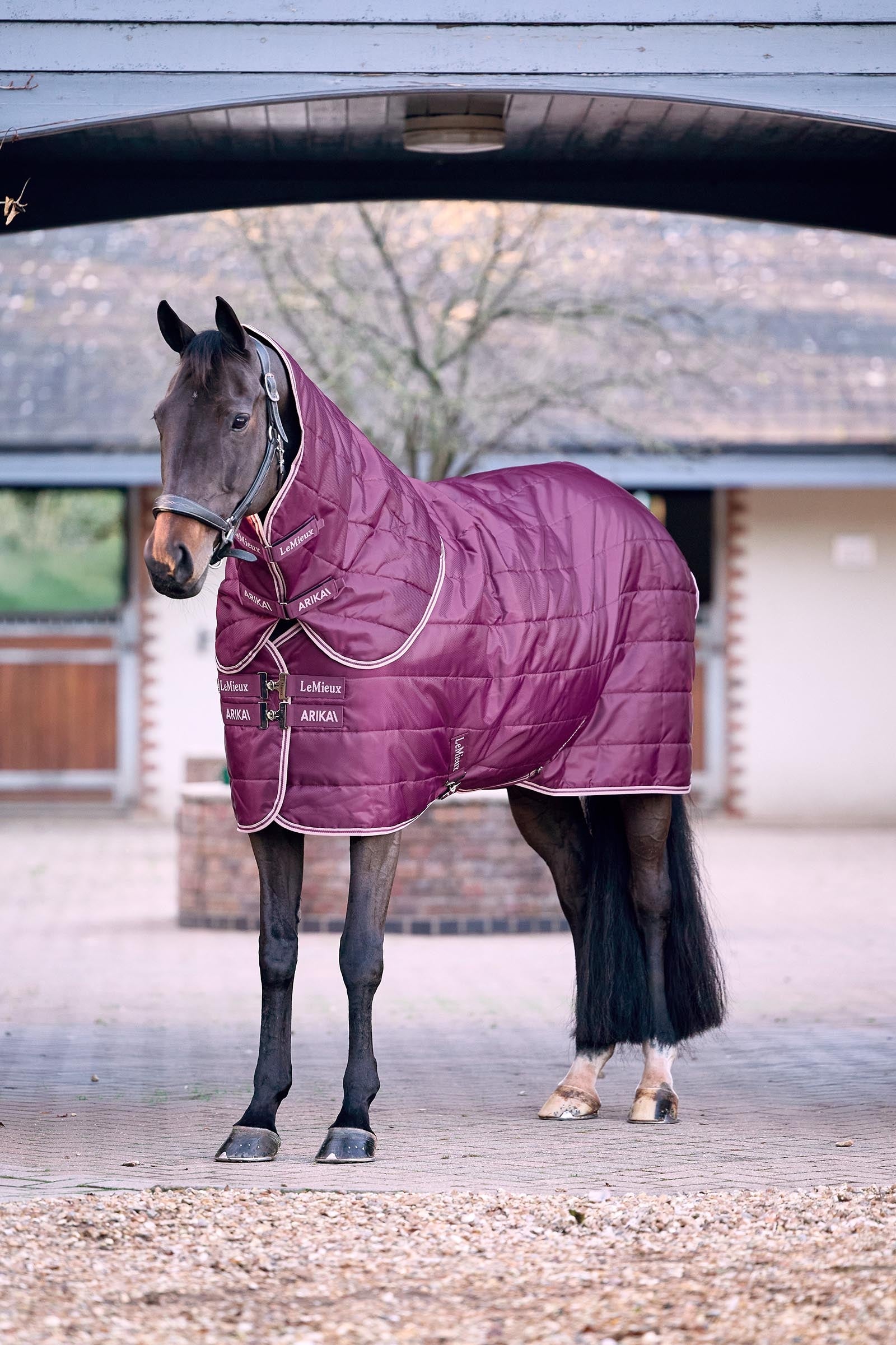 LeMieux Arika Stable-Tek With Neck, 100 g Horse Rugs