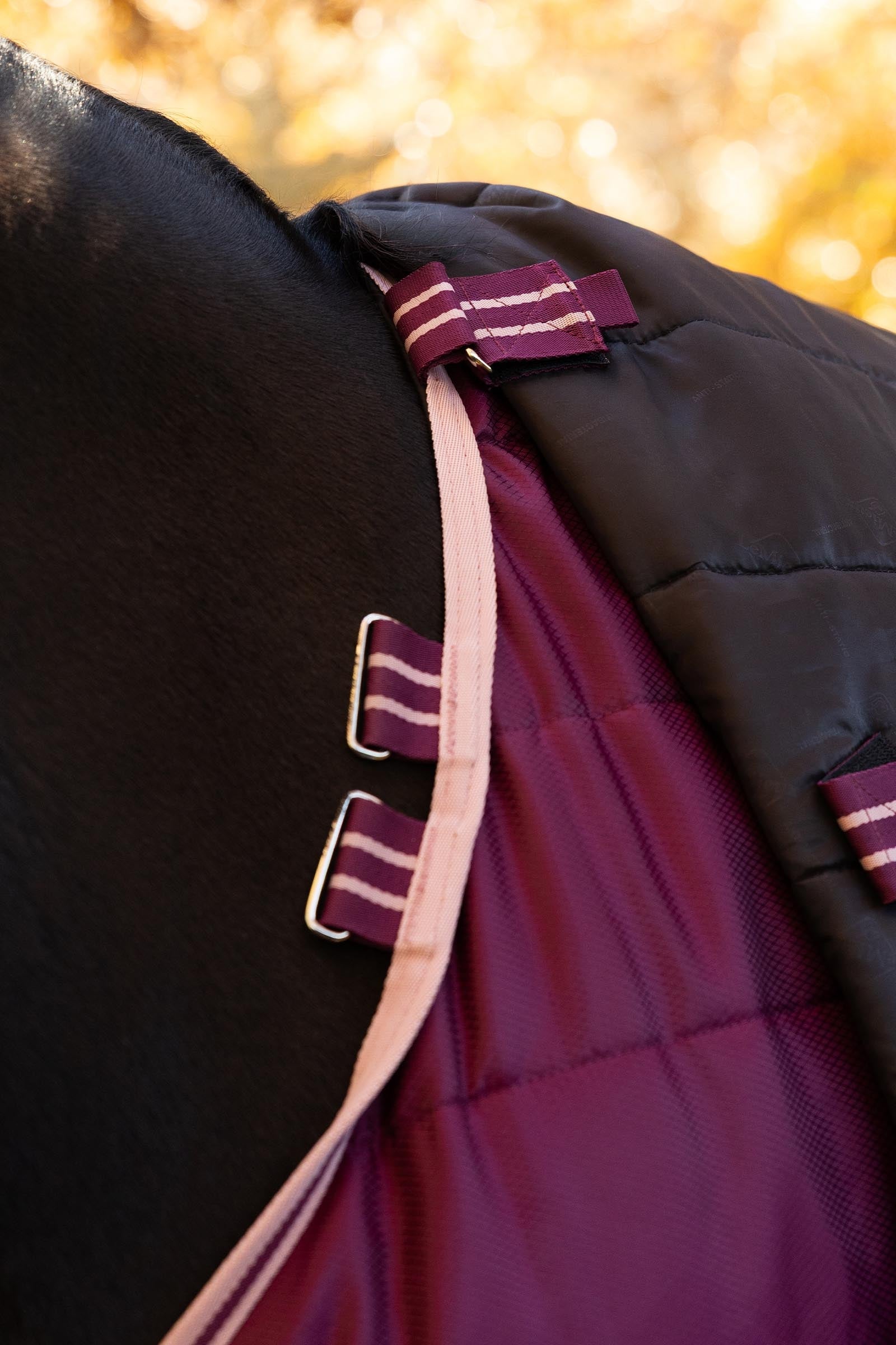LeMieux Arika Stable-Tek With Neck, 100 g Horse Rugs