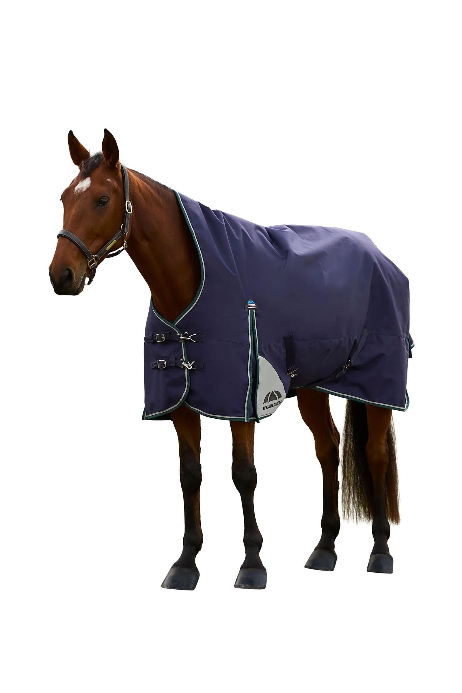 Weatherbeeta Comfitec Plus Dynamic Turnout Rug High Neck 220g Horse Rugs