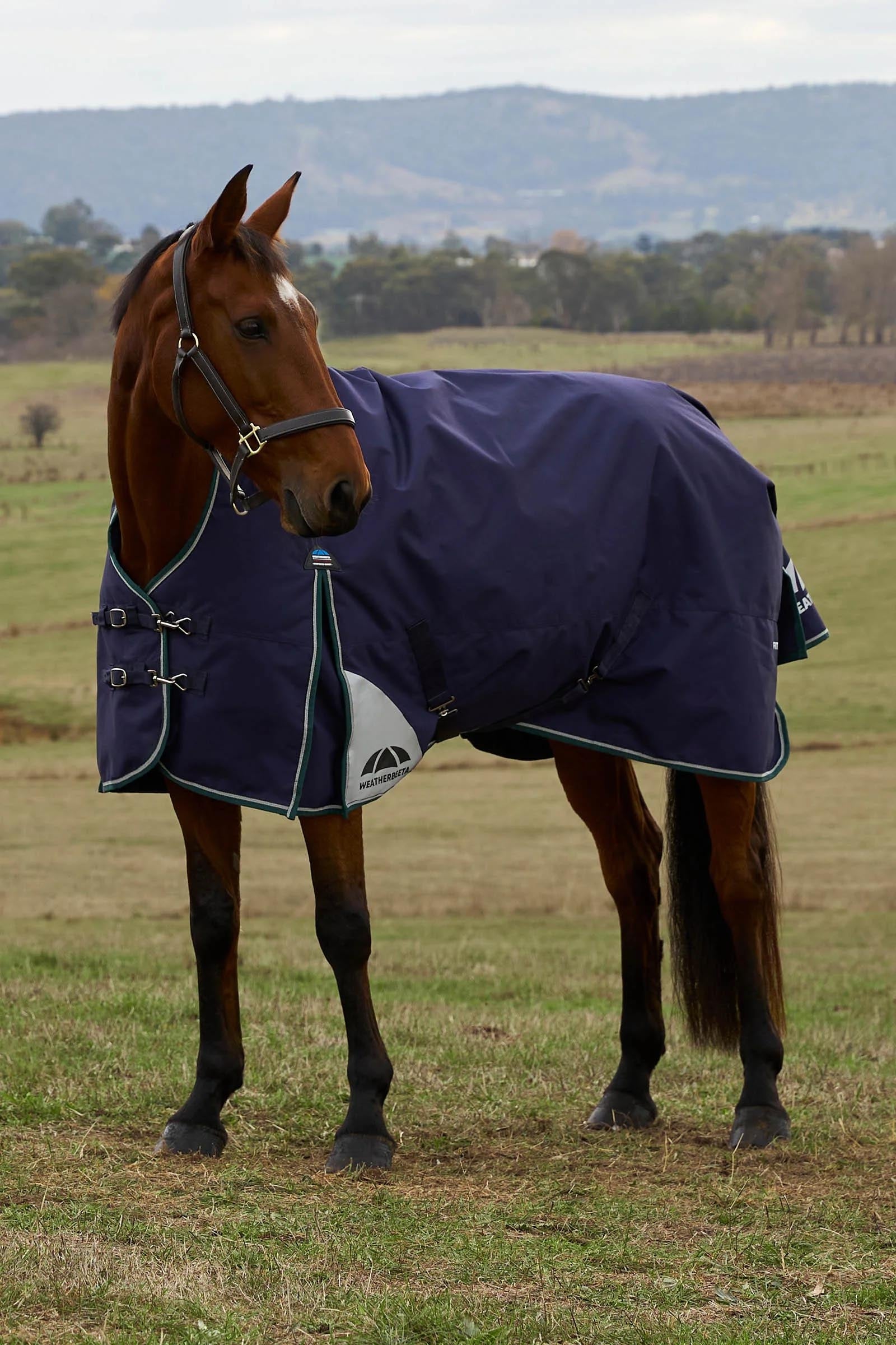 Weatherbeeta Comfitec Plus Dynamic Turnout Rug High Neck 220g Horse Rugs