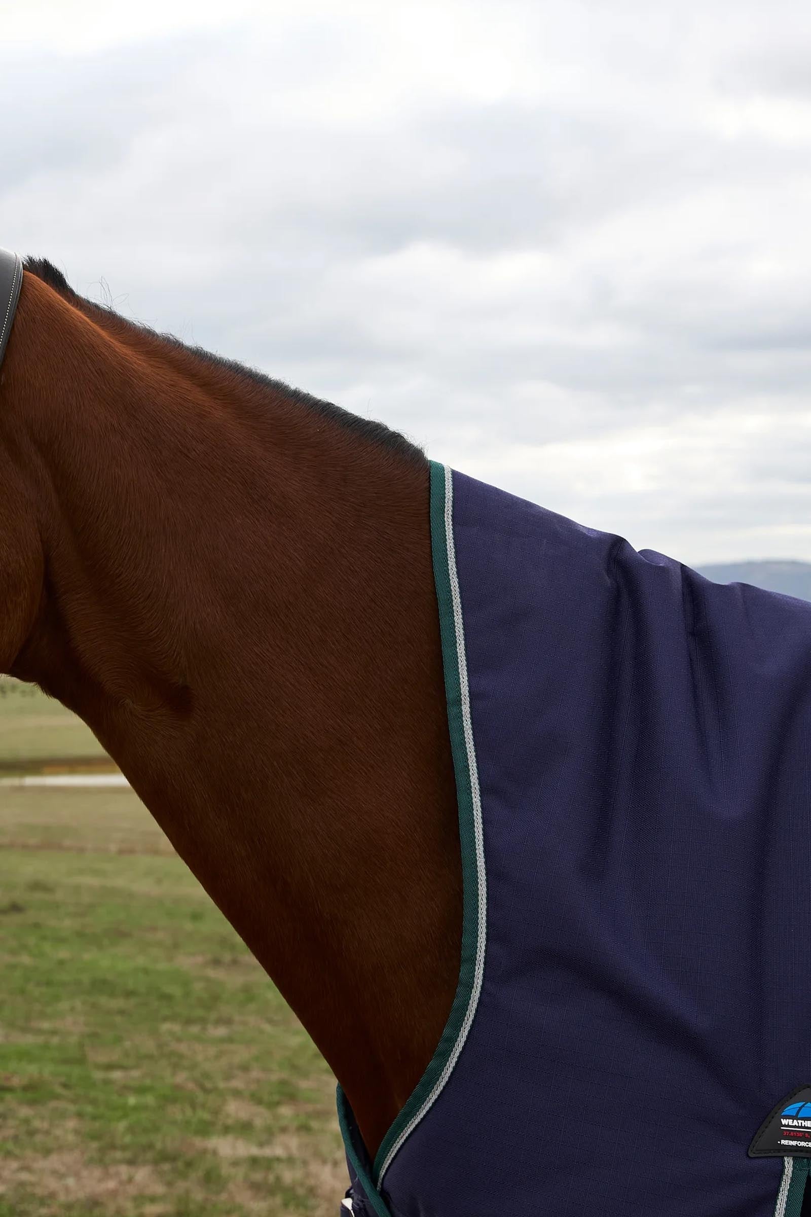 Weatherbeeta Comfitec Plus Dynamic Turnout Rug High Neck 220g Horse Rugs