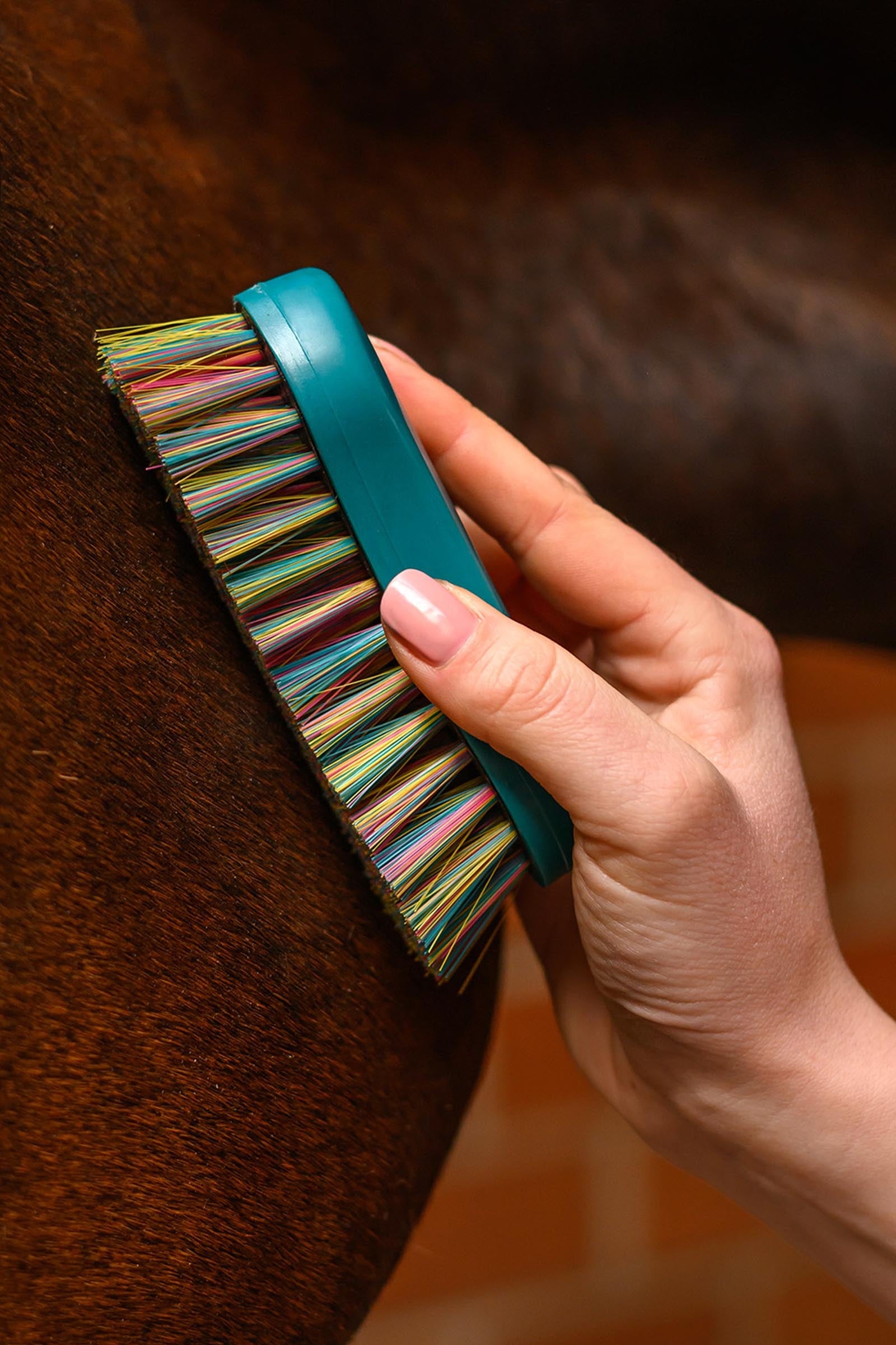 Waldhausen Rainbow Head Brush Horse Grooming Tools