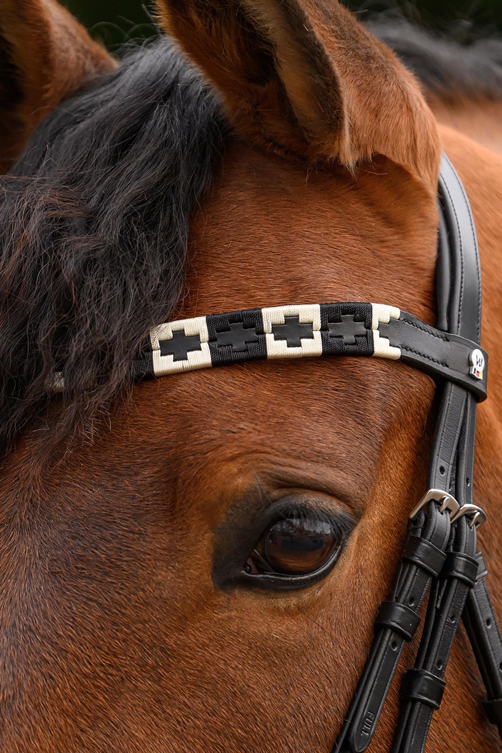 Waldhausen X-Line Polo Browband Bridles & Reins