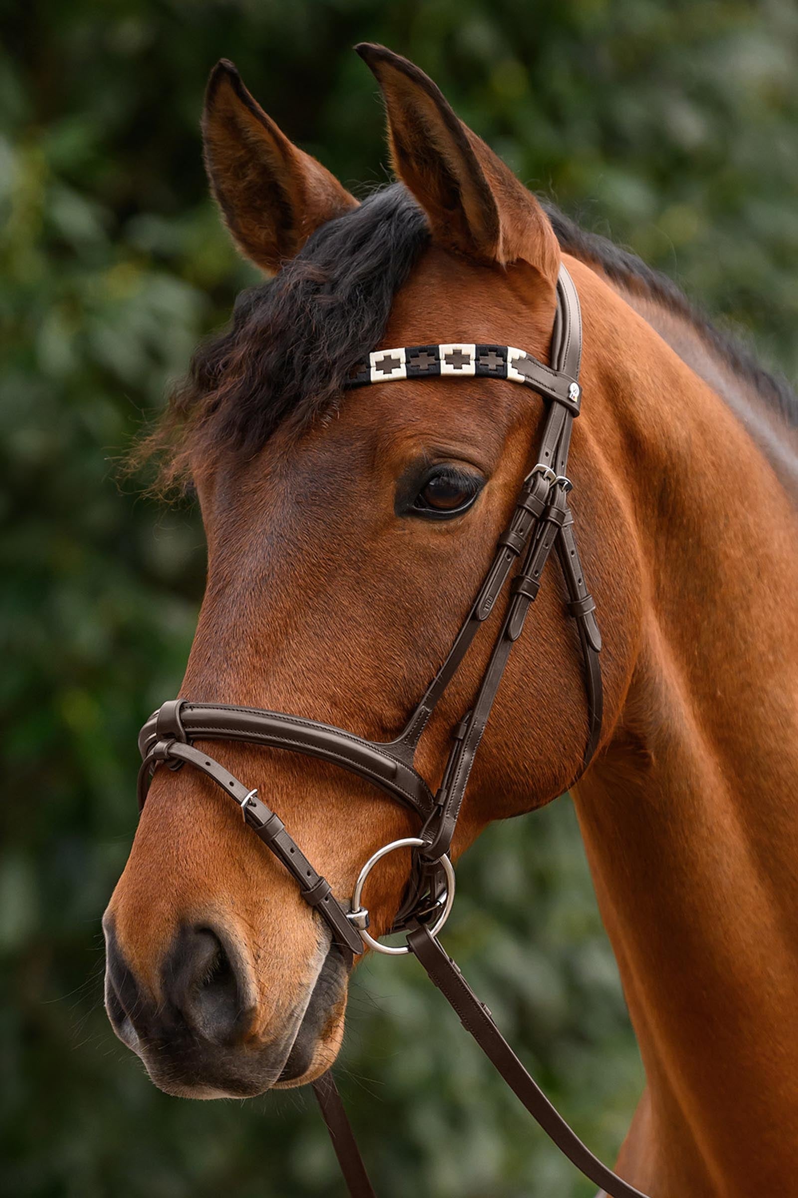 Waldhausen X-Line Polo Browband Bridles & Reins