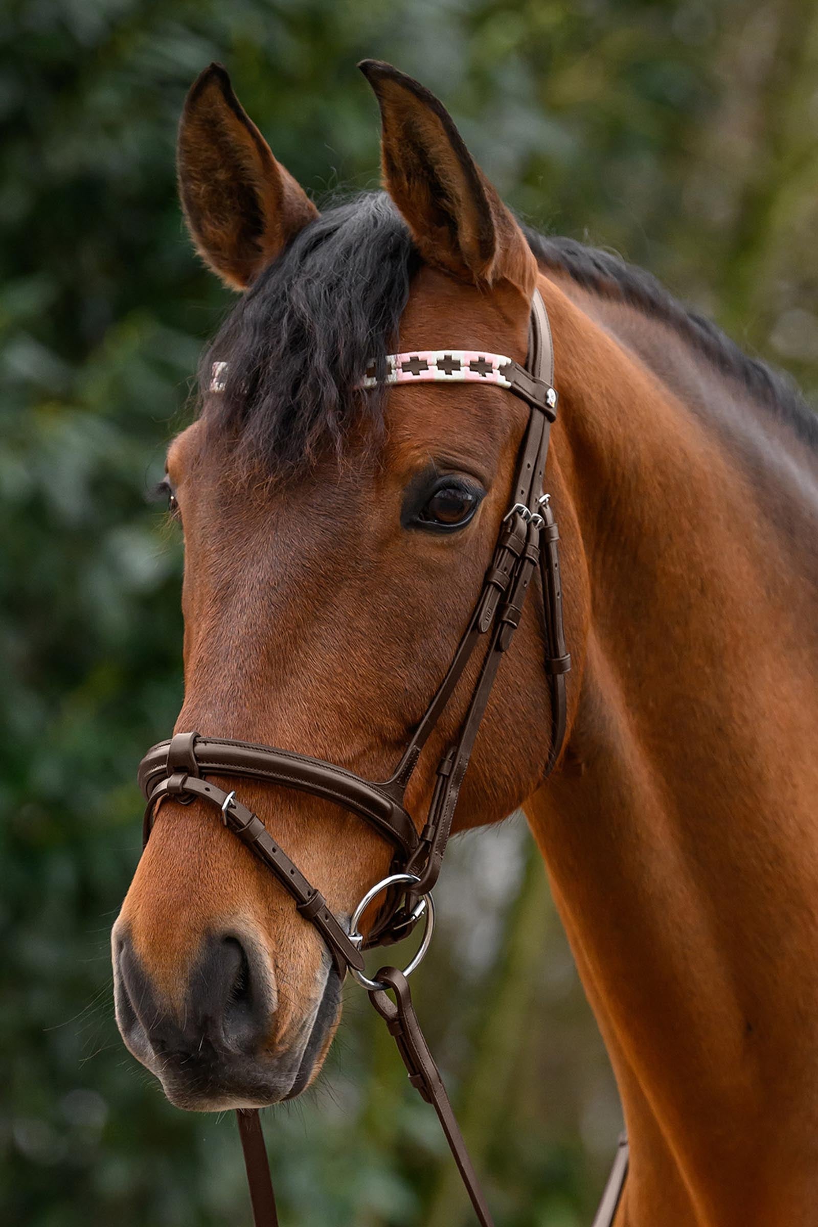 Waldhausen X-Line Polo Browband Bridles & Reins