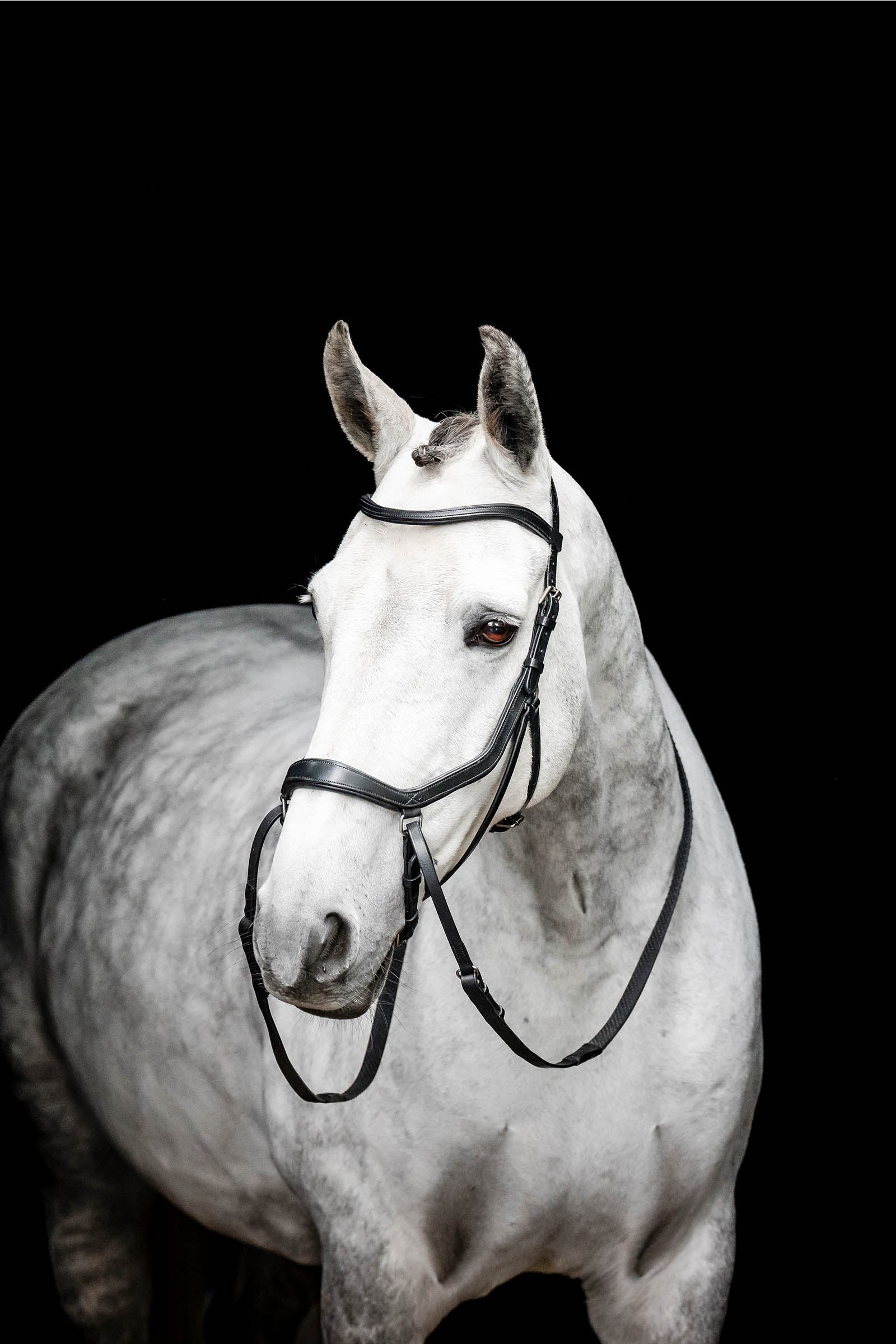 Horseware Micklem bidløs trense Trenser & tøjler