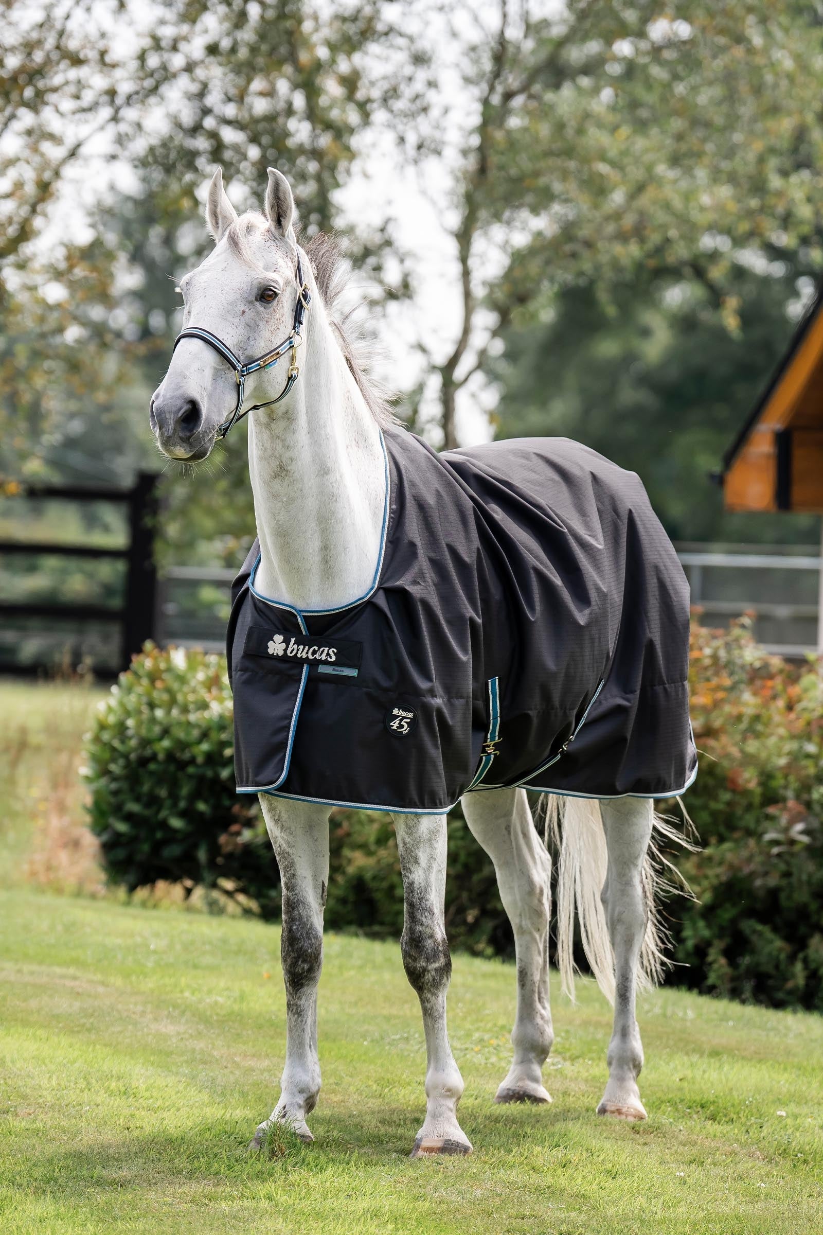 Bucas Anniversary Light SD Turnout Rug, 150g Horse Rugs