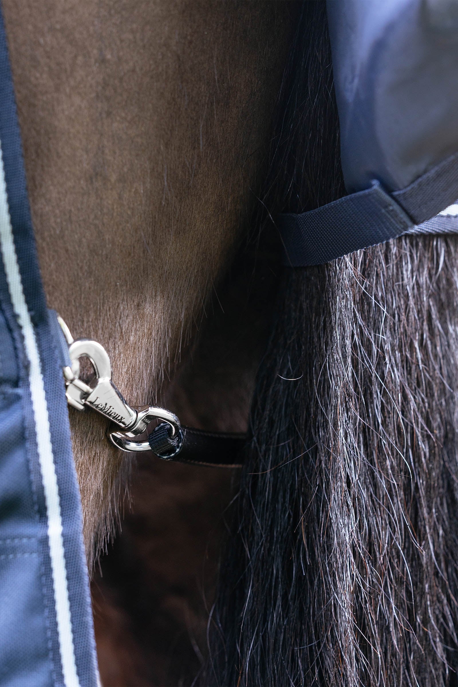 LeMieux Arika Storm-Tek Turnout Rug With Detachable Neck, 50 g Horse Rugs