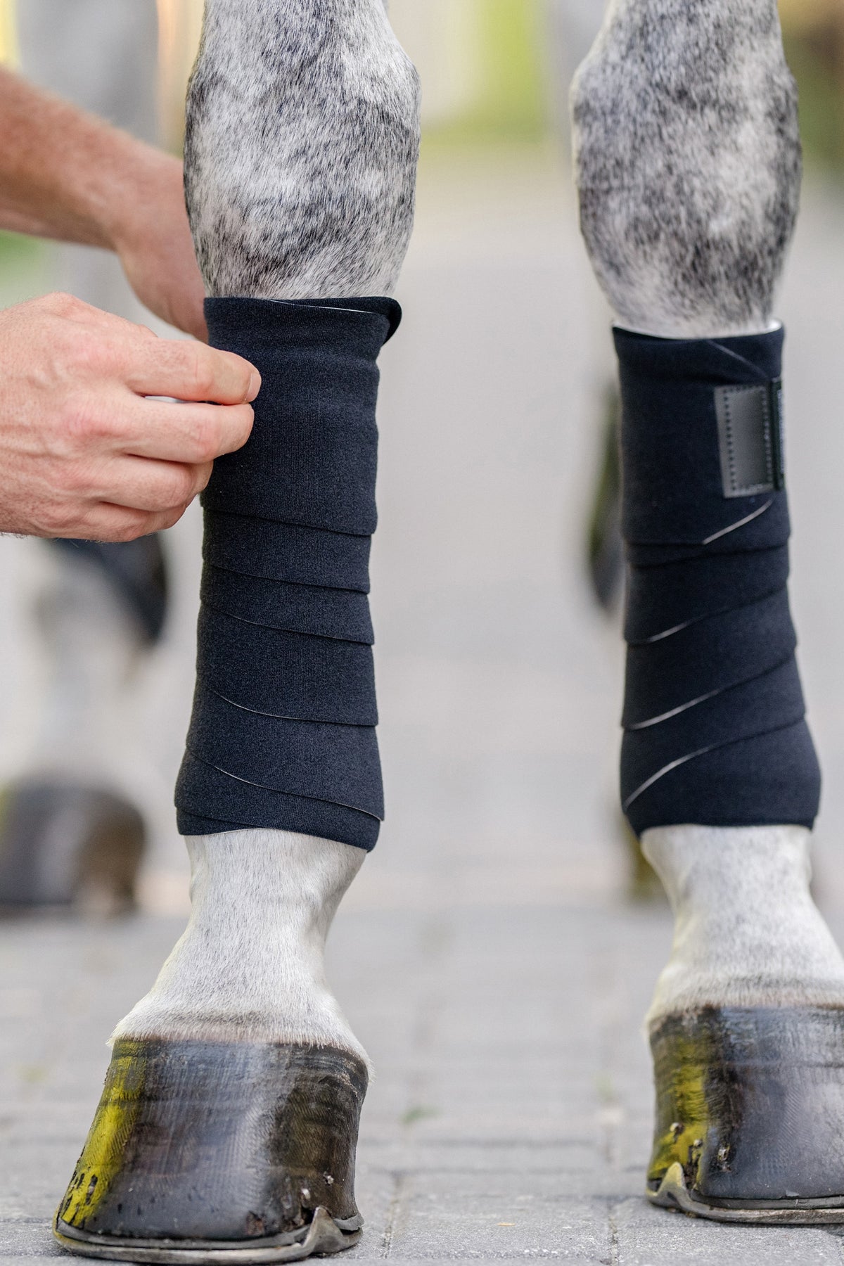 EquiFit T-Sport™ Wrap (Pair) Leg & Hoof Protection