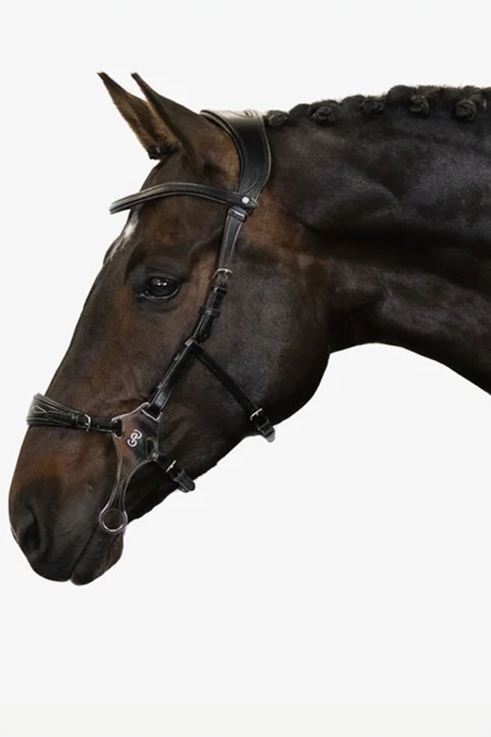 PS of Sweden Bridle Hackamore Sport Bridles & Reins