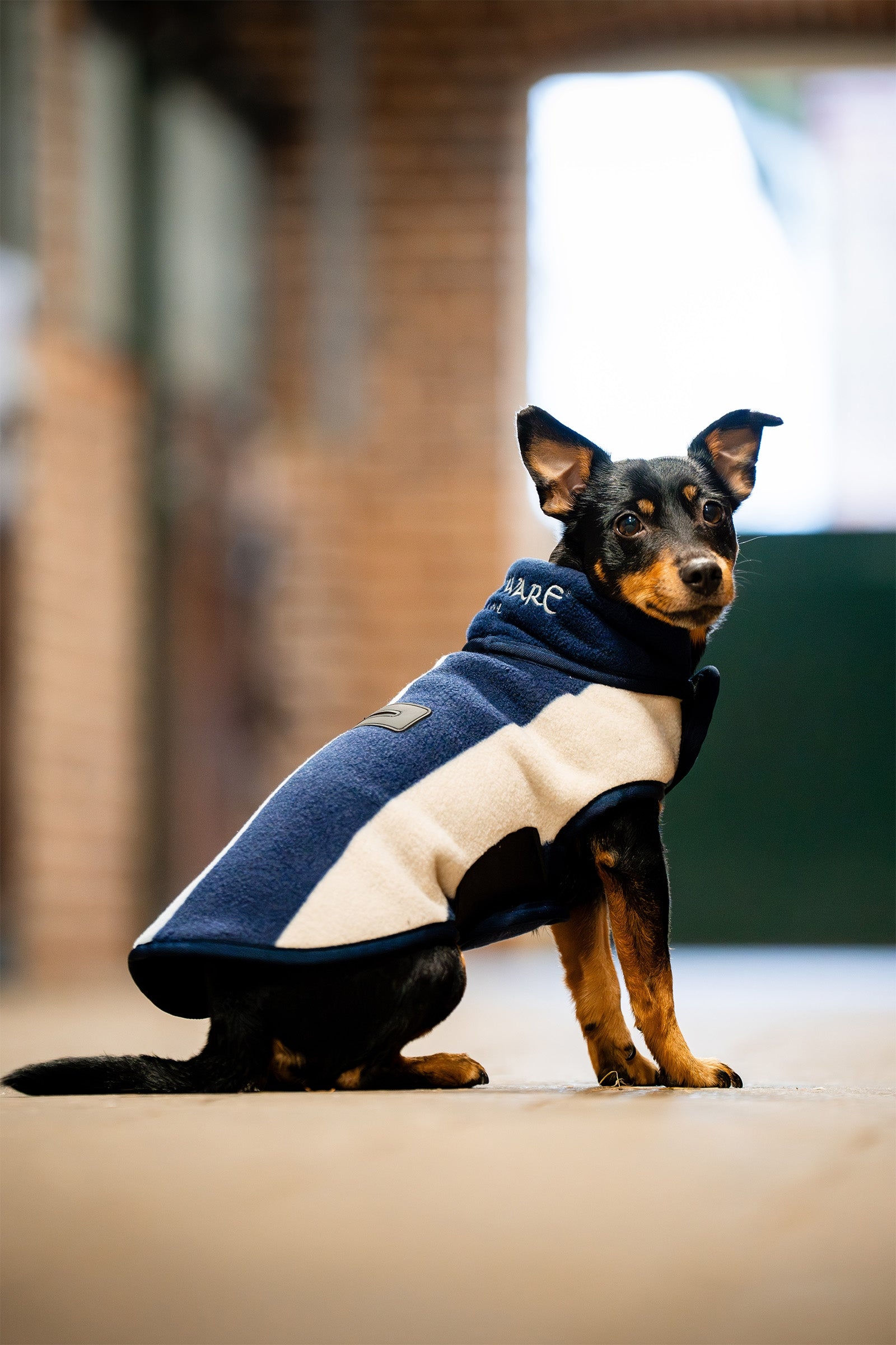Horseware Signature Hundefleecedækken Hund
