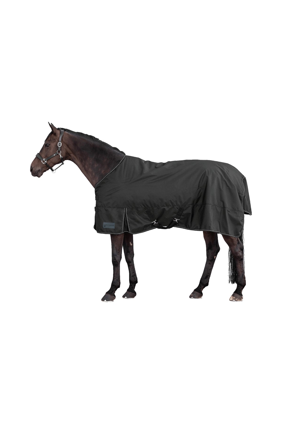 Waldhausen NORDIC 600D Udedækken, 100 g Hestedækken