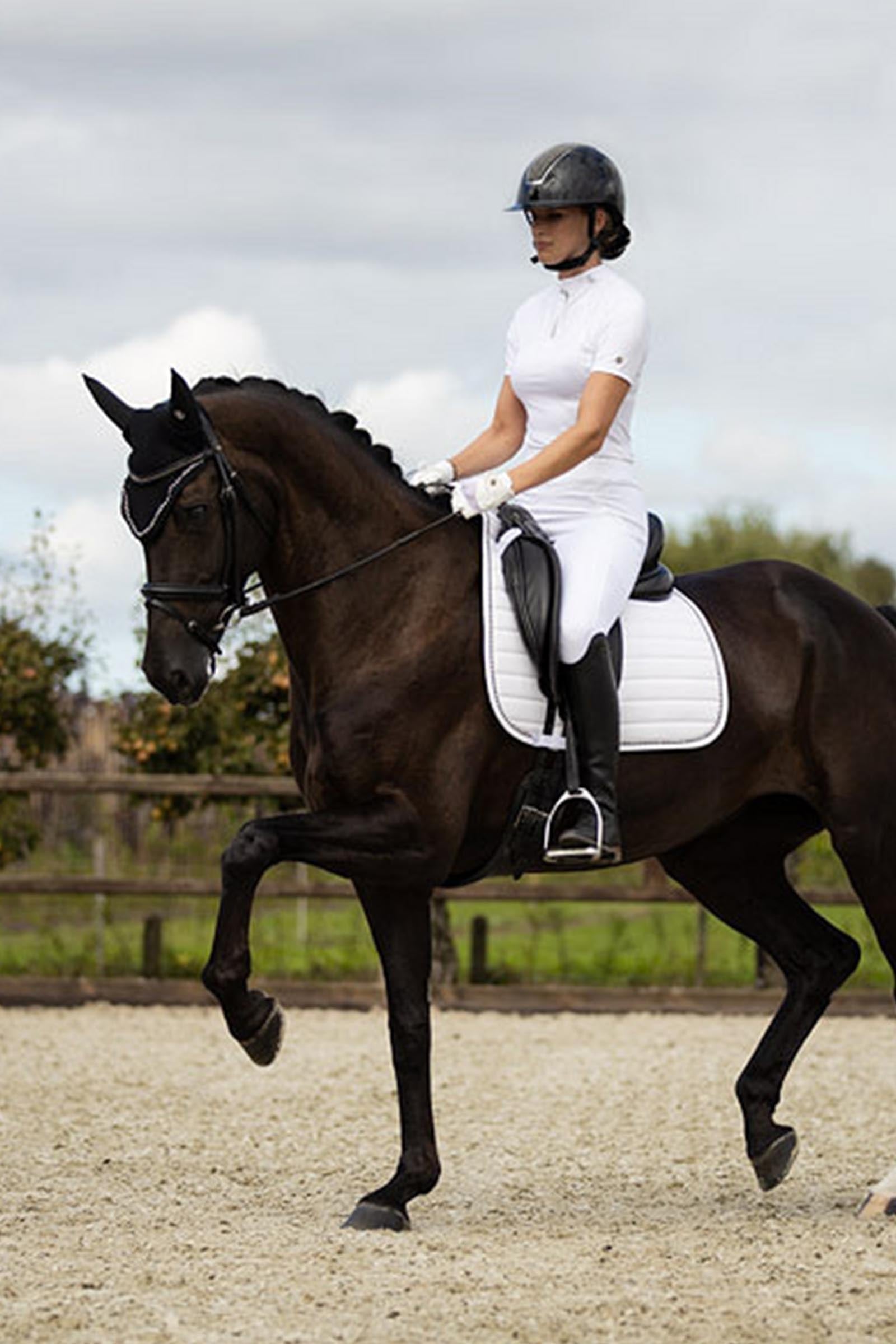 BR Ivory Coast C-Wear Dressage Saddle Pad Saddle Pads