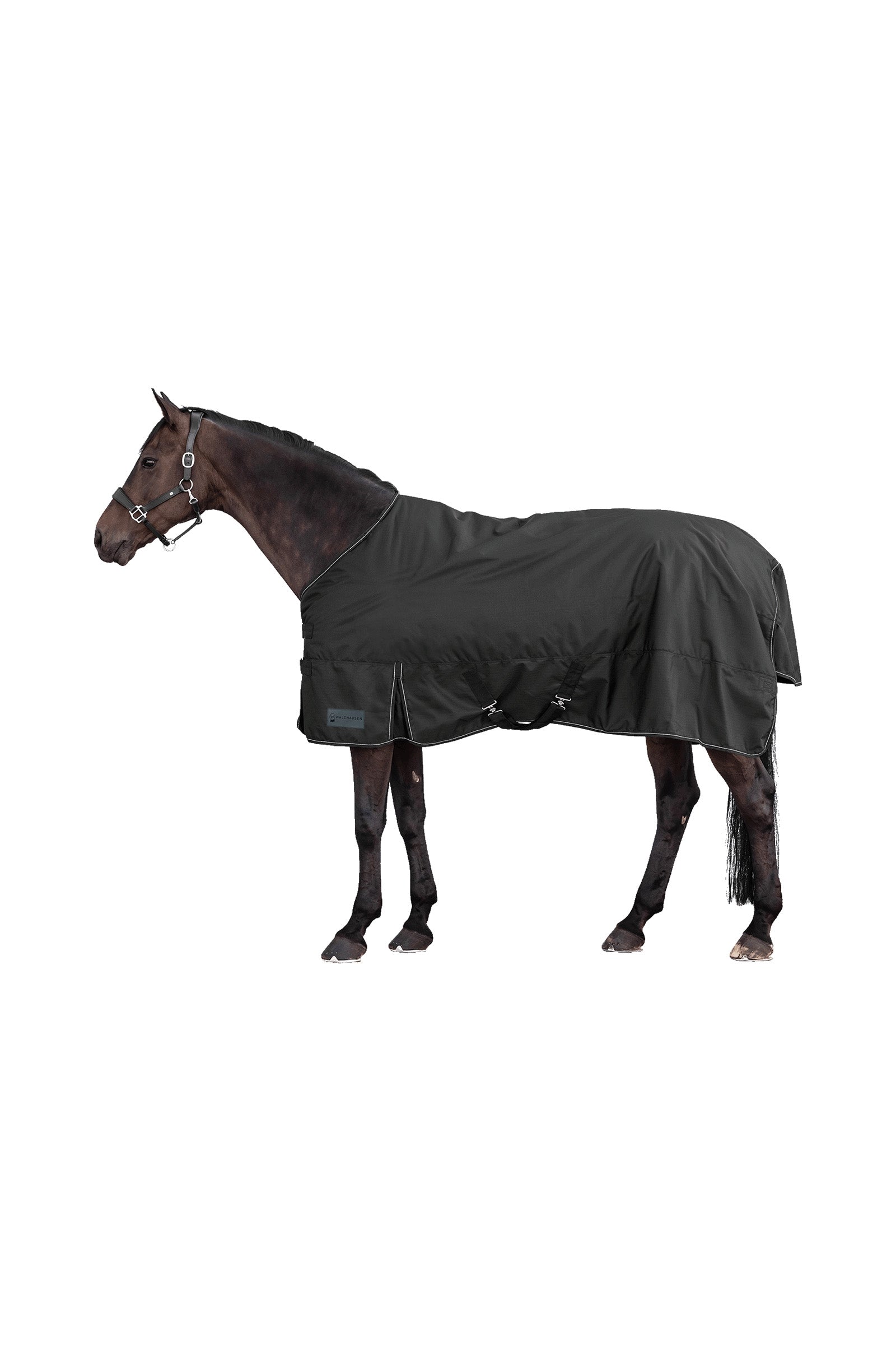 Waldhausen NORDIC 600D Light Outdoor Rug Horse Rugs