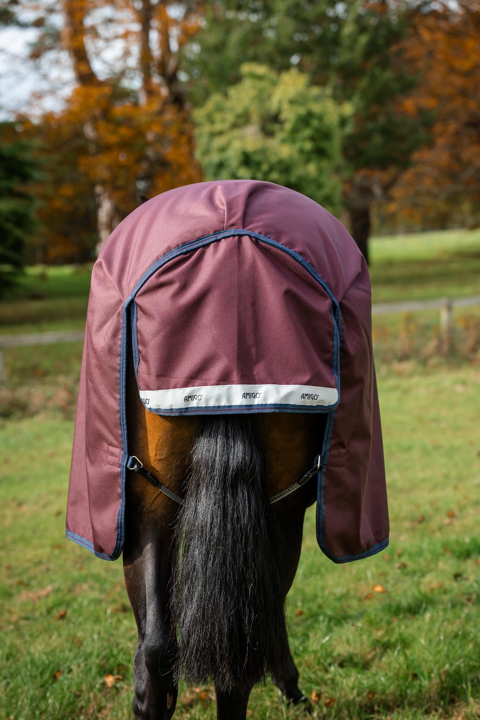 Horseware Amigo Bravo 12 Plus Turnout Rug With Detachable Neck, 0g Horse Rugs