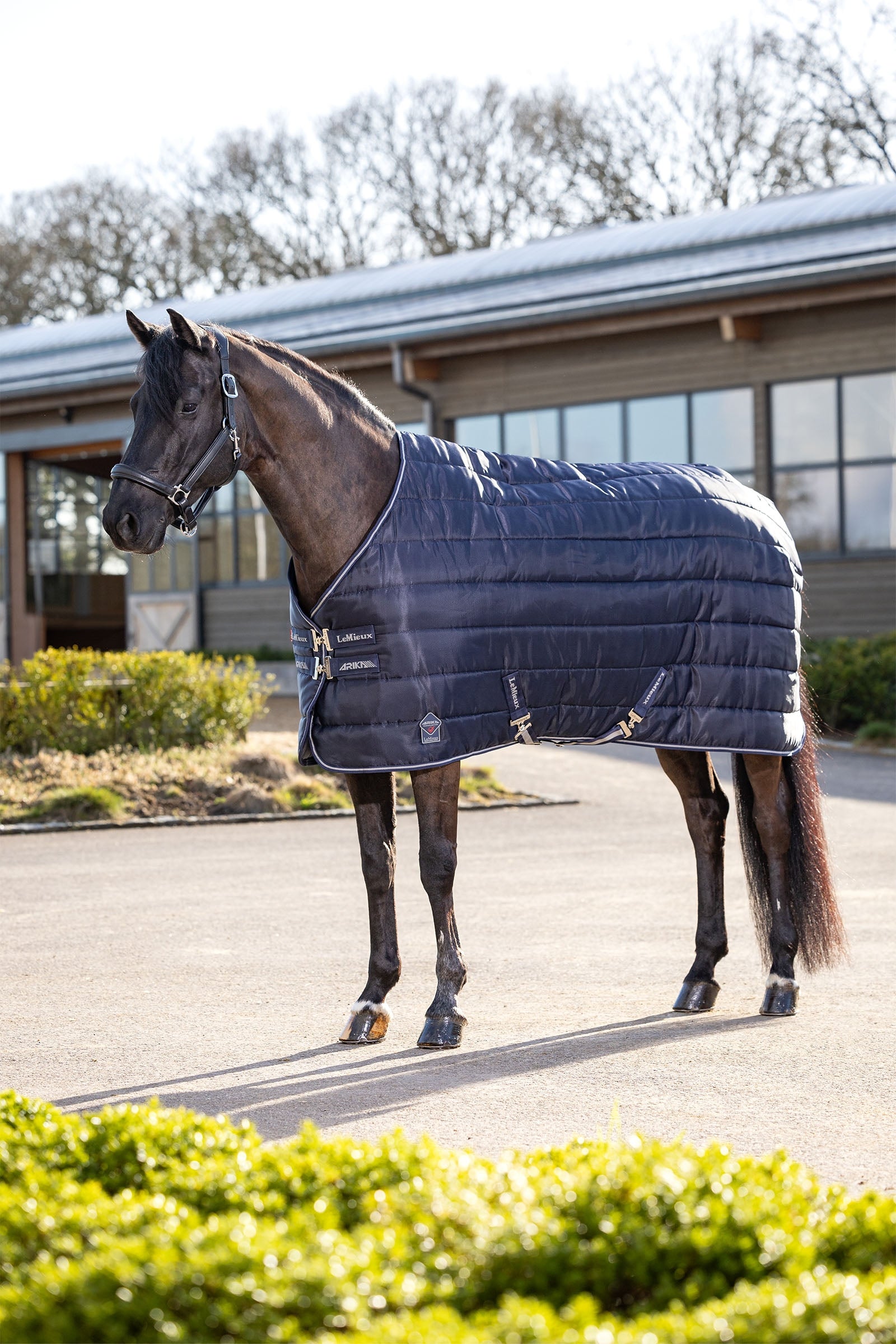 LeMieux Arika Stable-Tek 100g Hestedækken