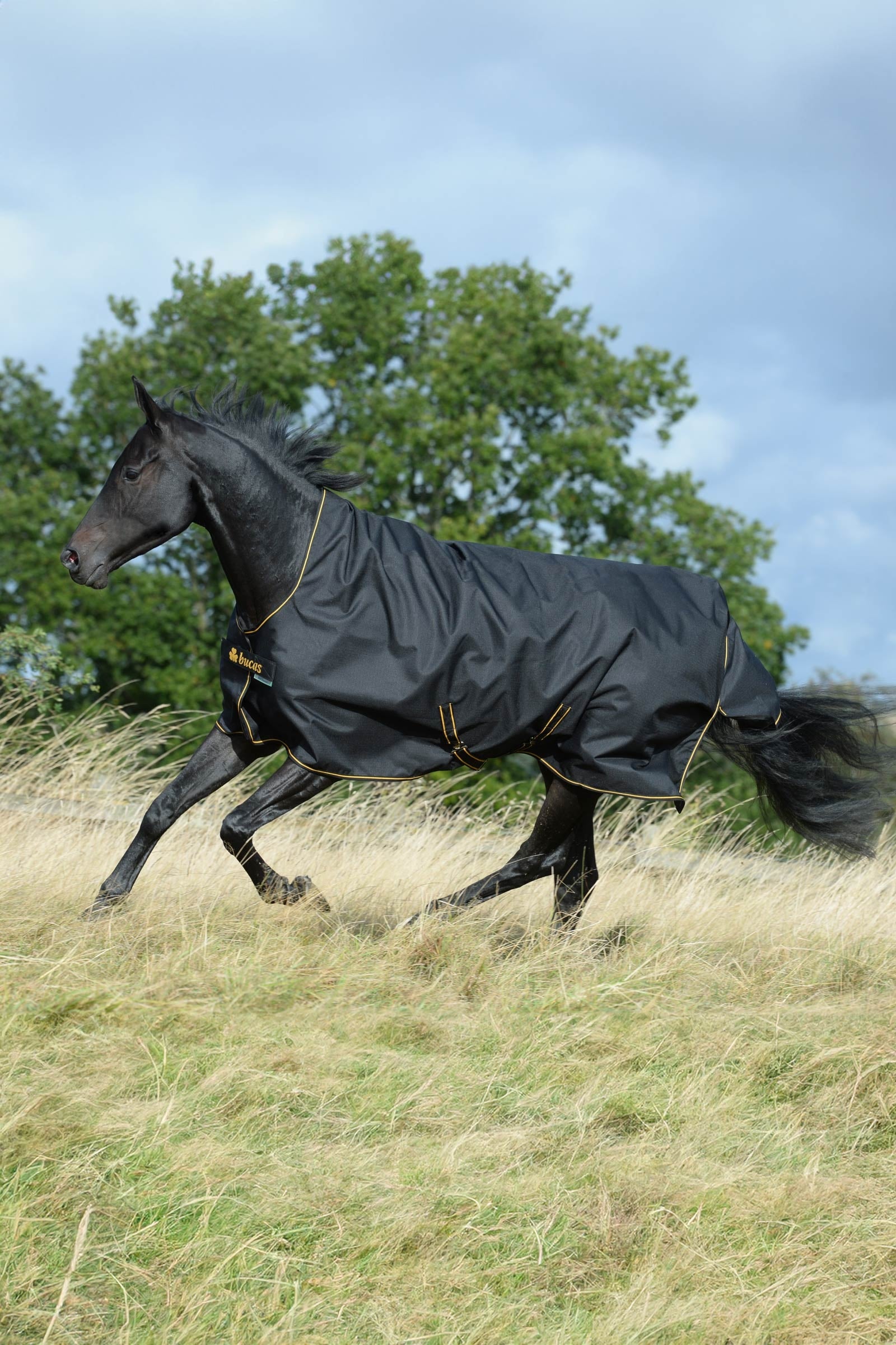 Bucas Irish Turnout Rug with High Neck, 50g Horse Rugs