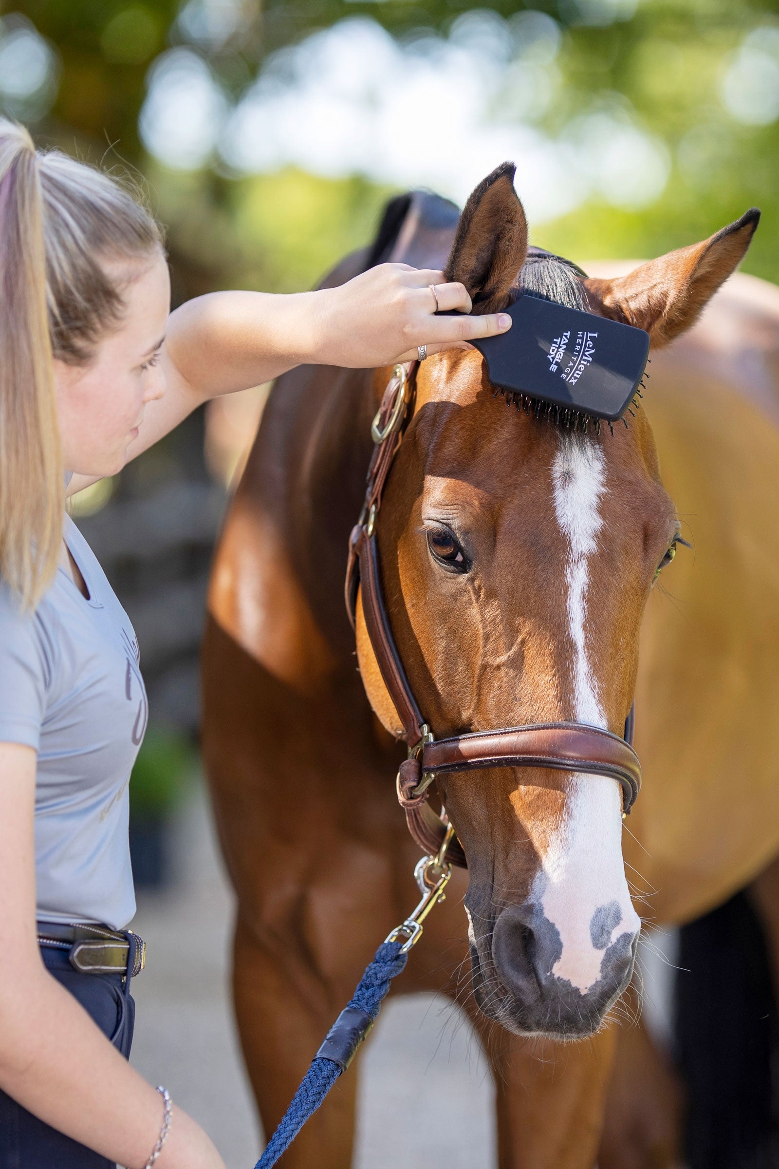 LeMieux Tangle Tidy Brush Women’s Riding Clothing