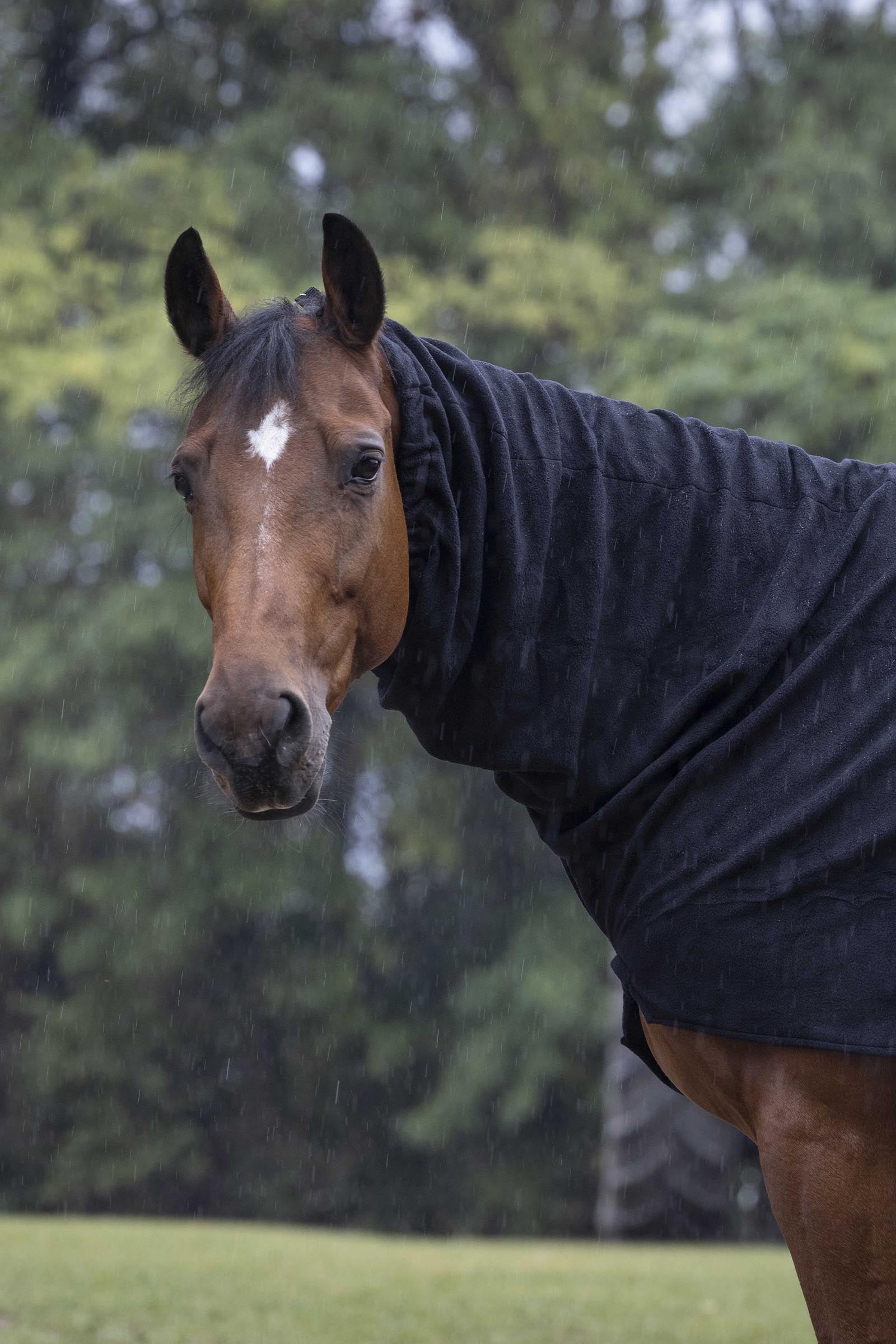 EQUITHÈME Polar Fleece halsdel Hestedækken