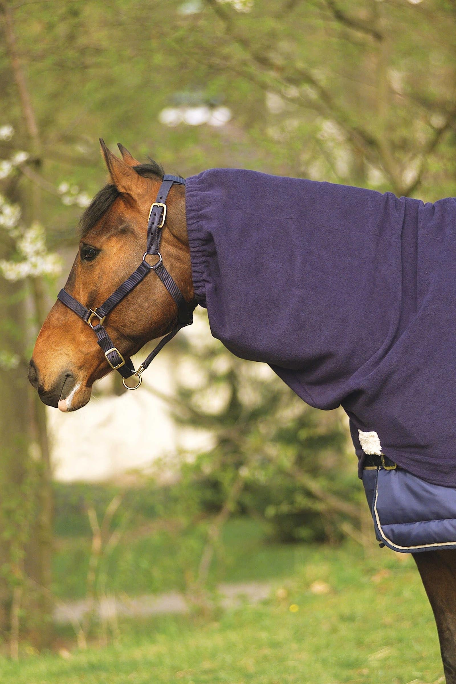 EQUITHÈME Polar Fleece halsdel Hestedækken