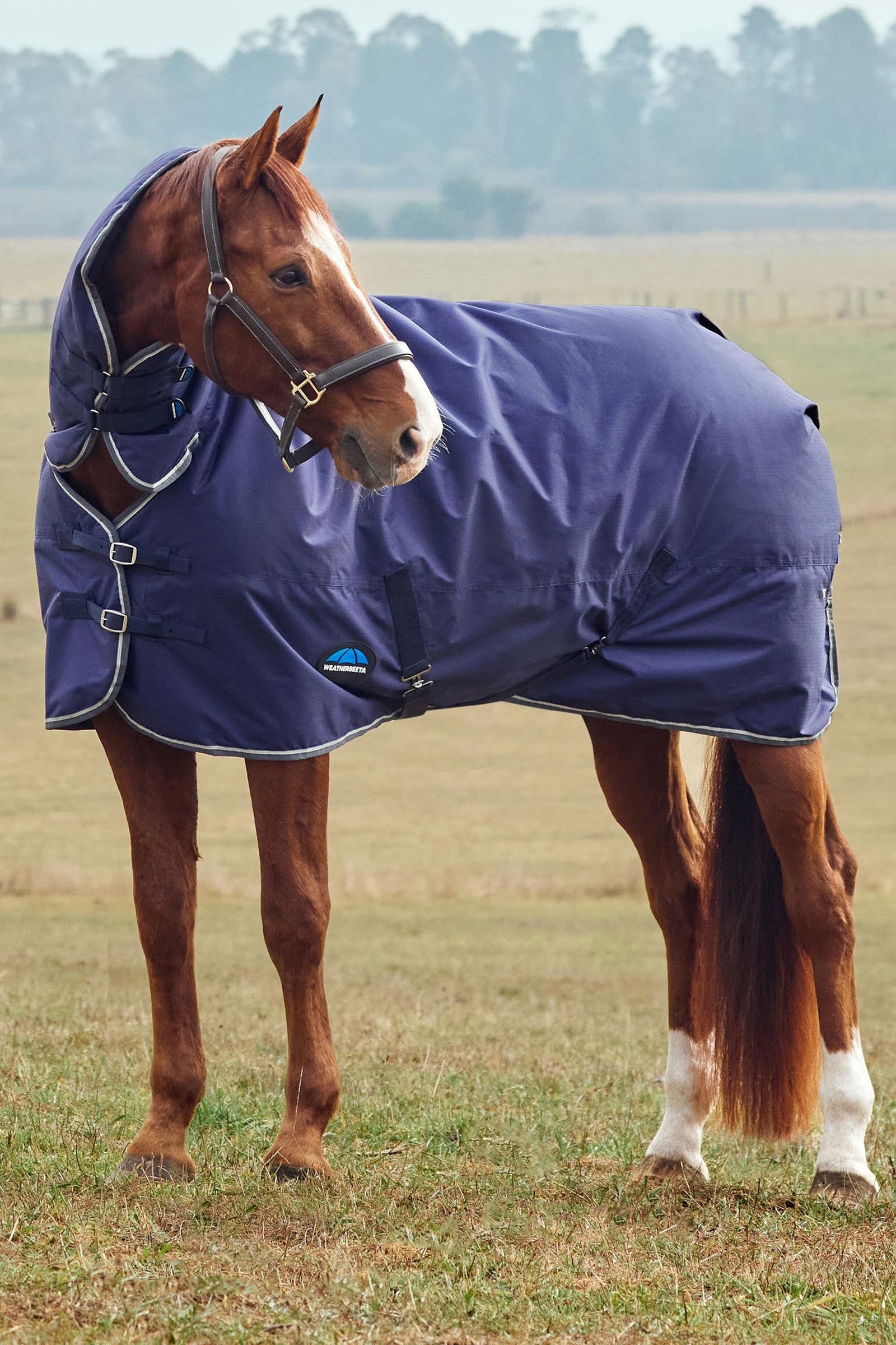 Weatherbeeta Comfitec Tyro Turnout Rug Combo Neck 50g Horse Rugs