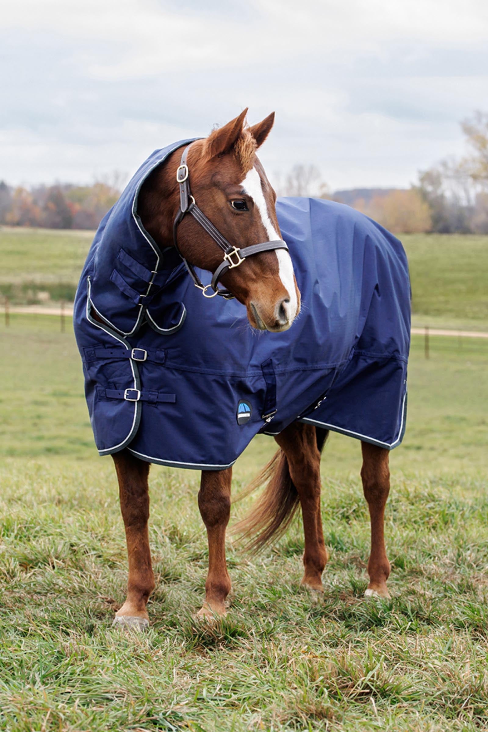 Weatherbeeta Comfitec Tyro Turnout Rug Combo Neck 50g Horse Rugs