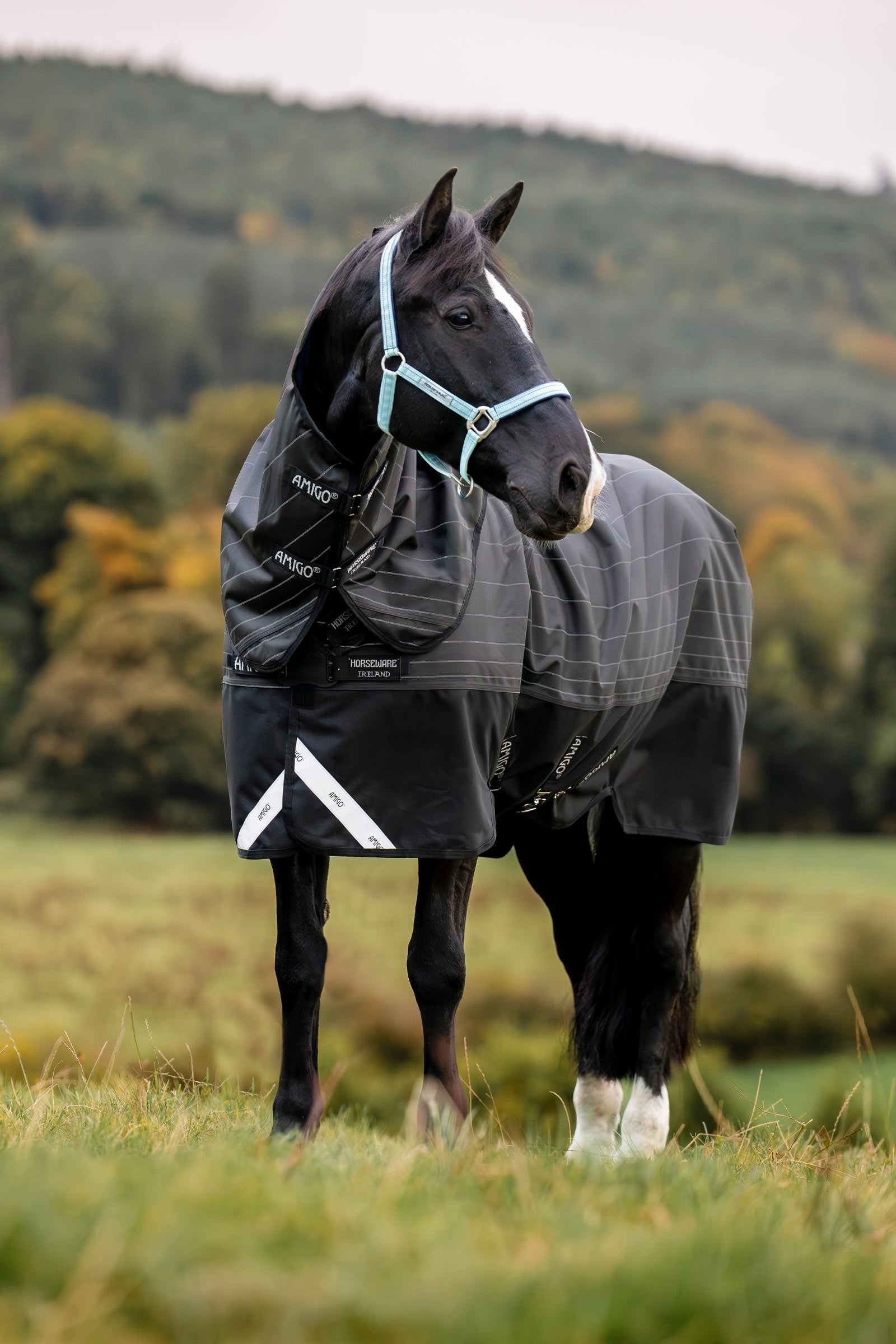 Horseware Amigo 1200D FieldSafe Reflectech Plus Turnout Rug, 100 g Horse Rugs
